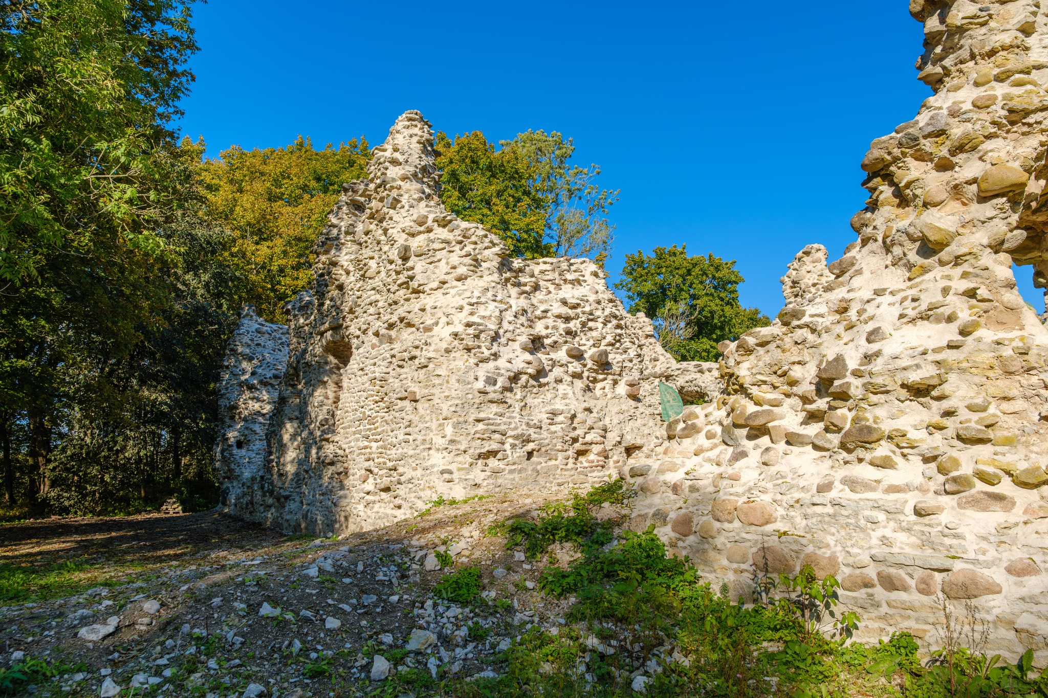 Angerja linnus Raplamaal