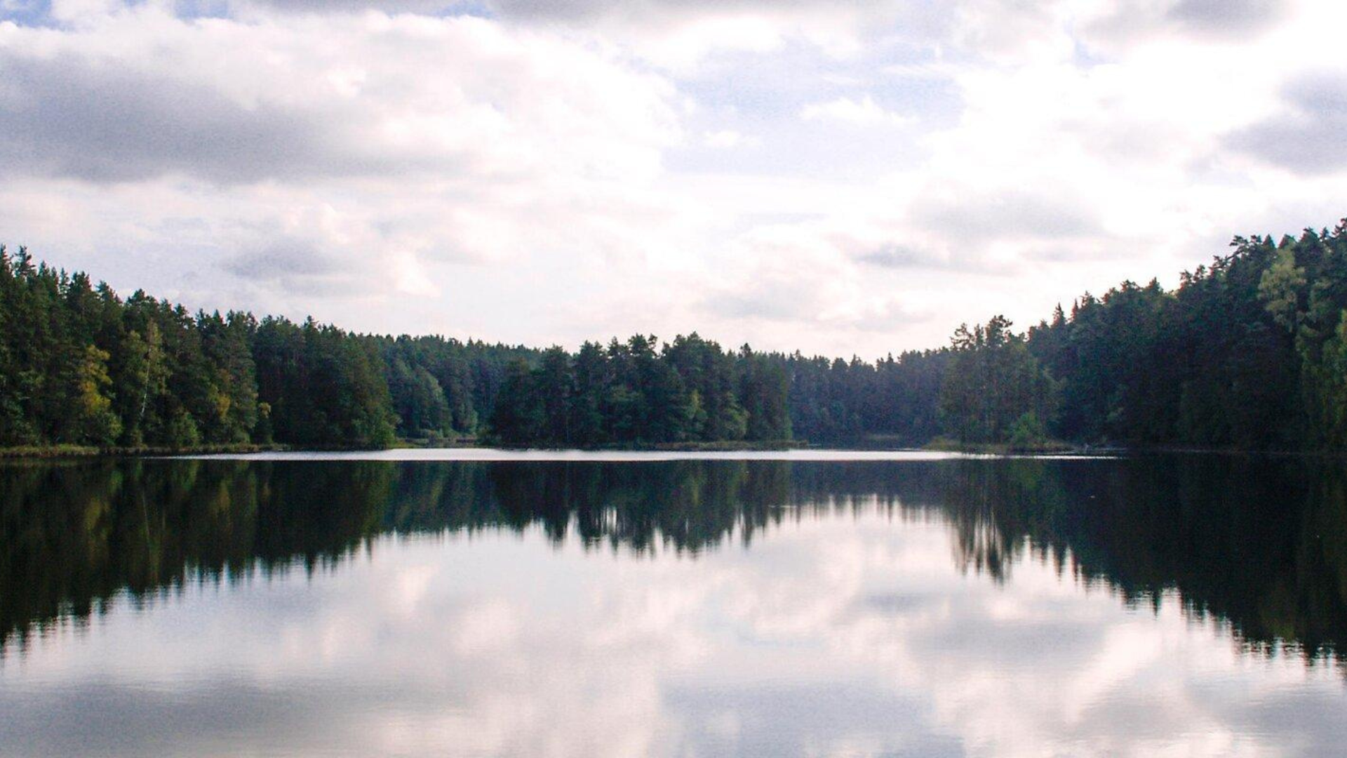 Viitna järv Lääne-Virumaal