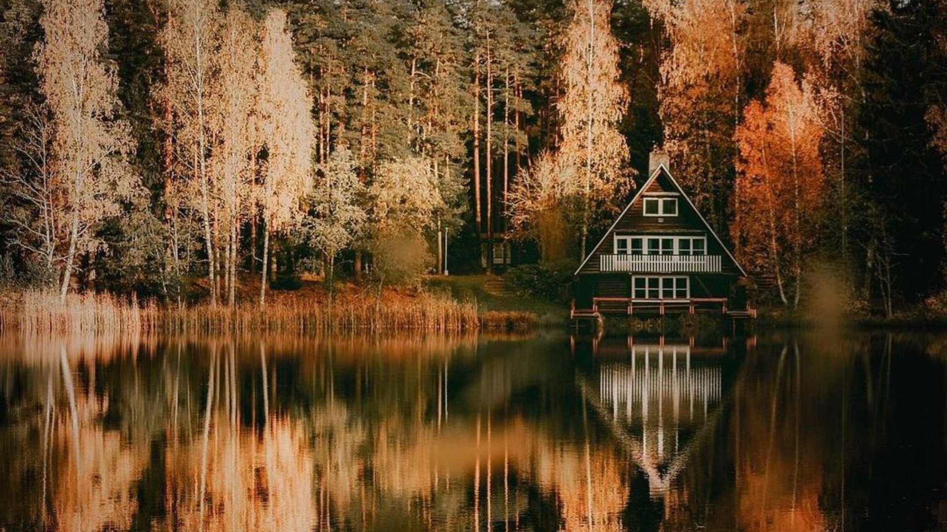 Viitna järv sügisel