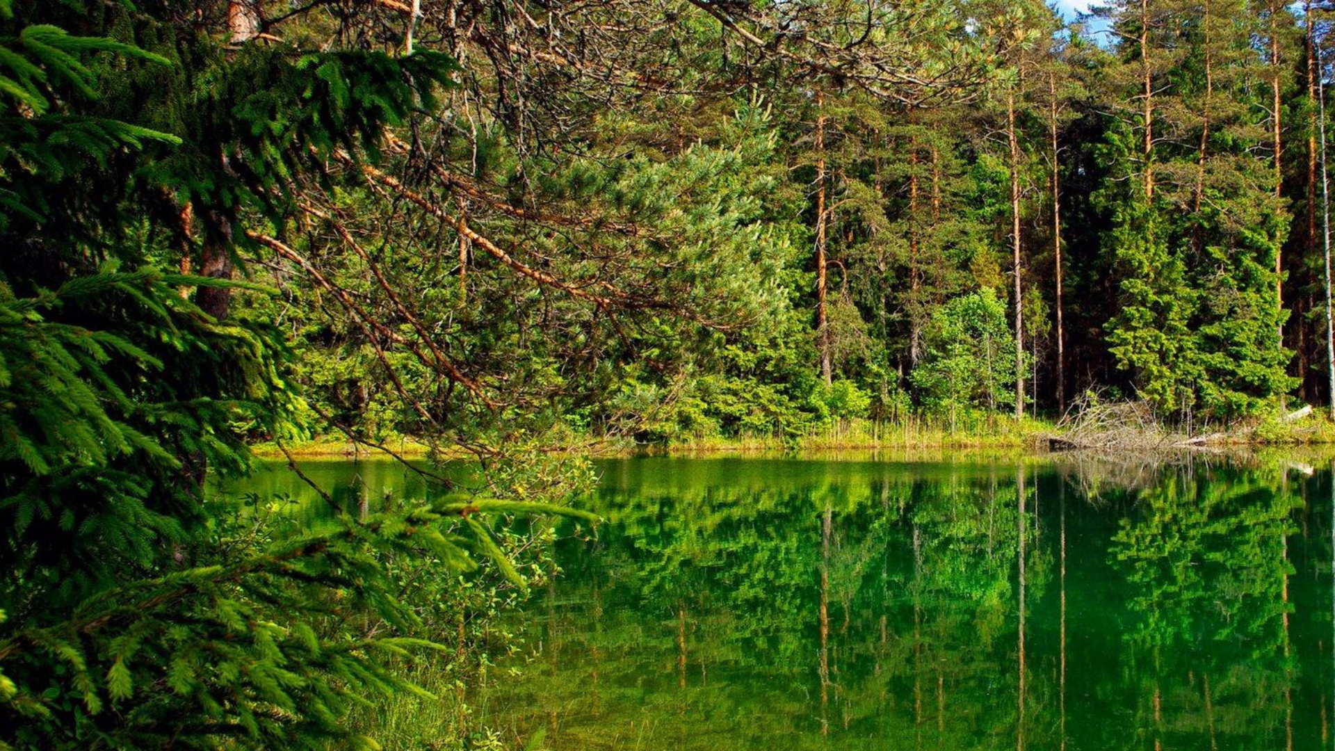 Äntu Sinijärv Lääne-Virumaal