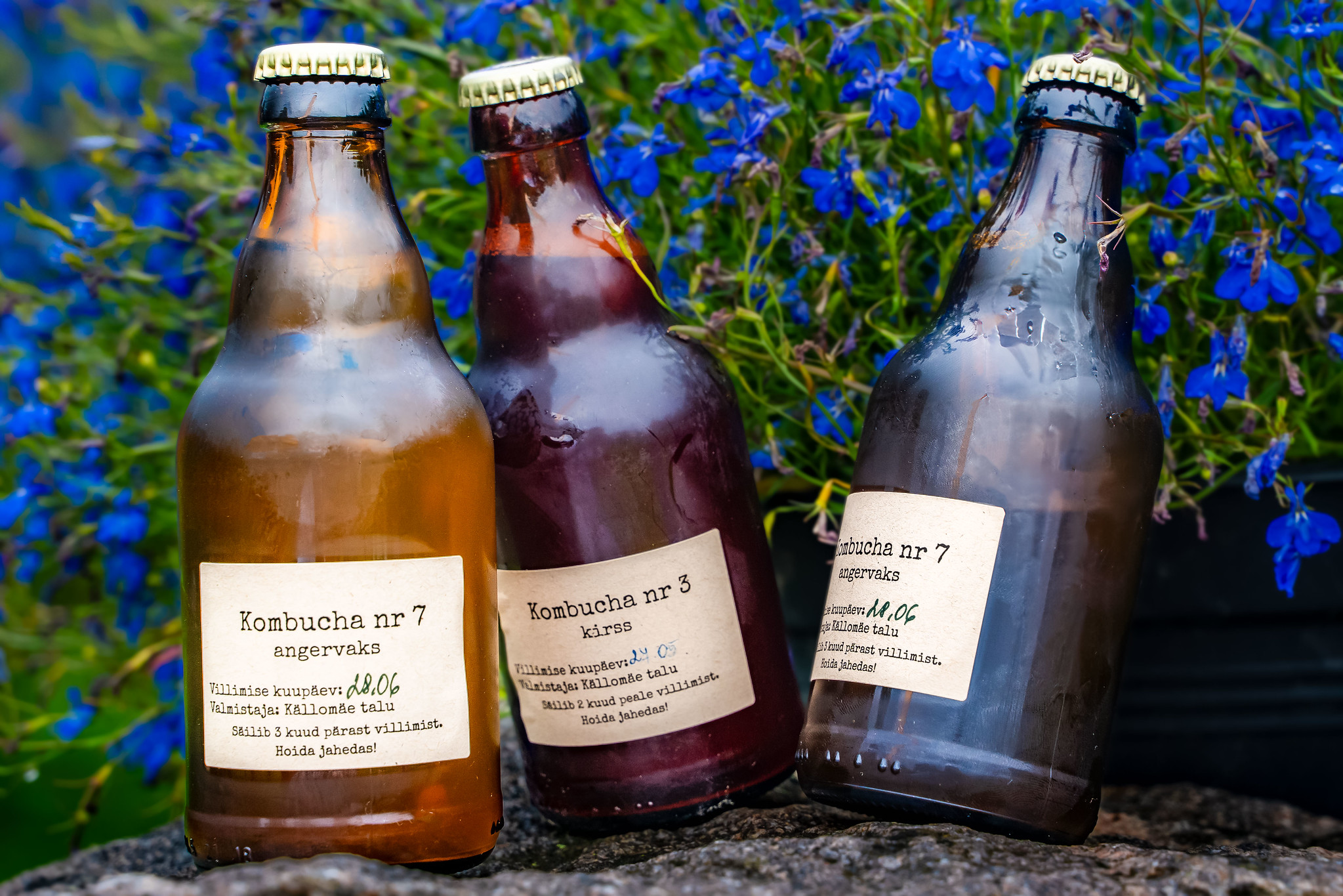 Källomäe kombucha