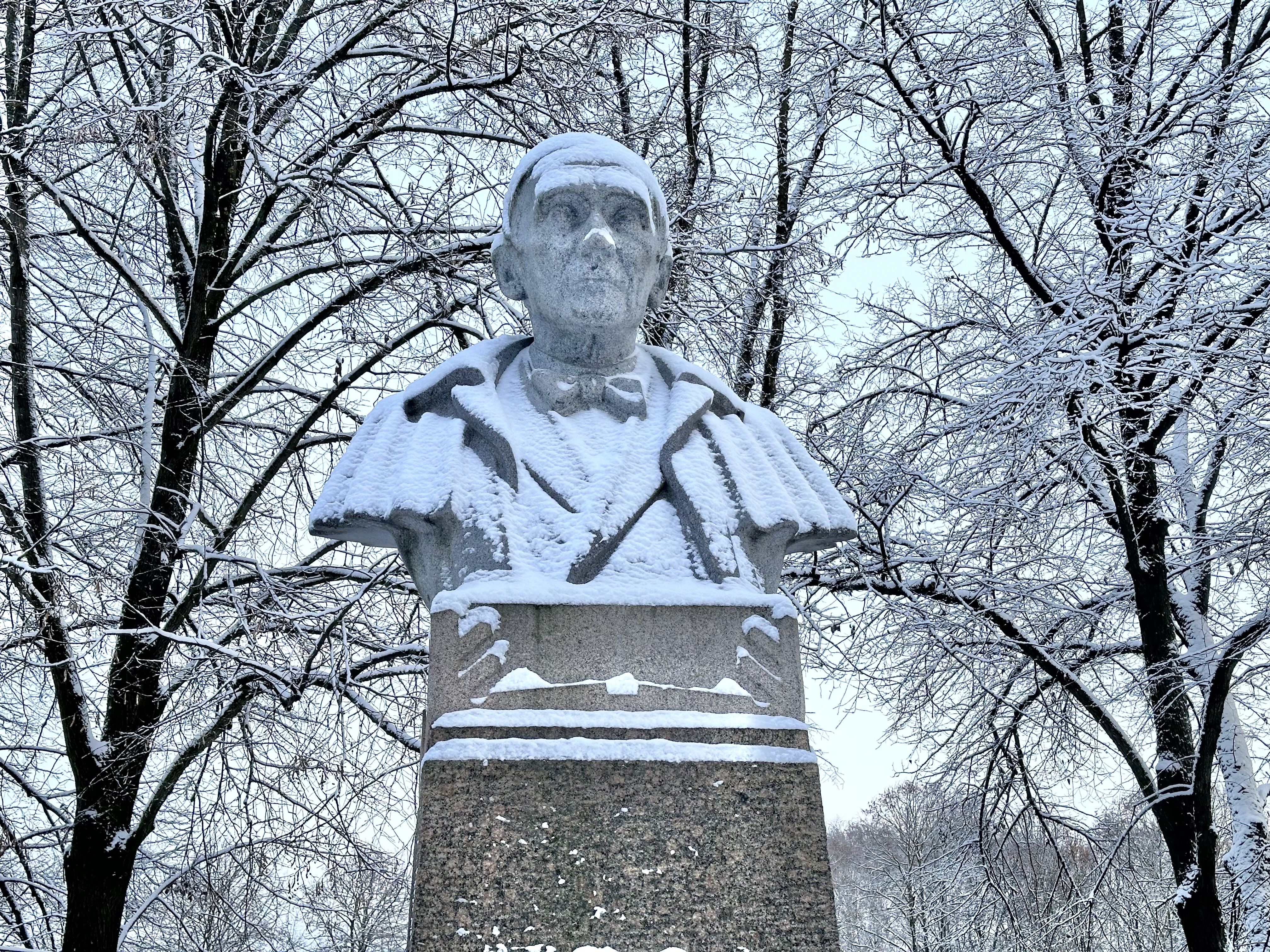 Kreutzwaldi monument talvises vabaduse pargis