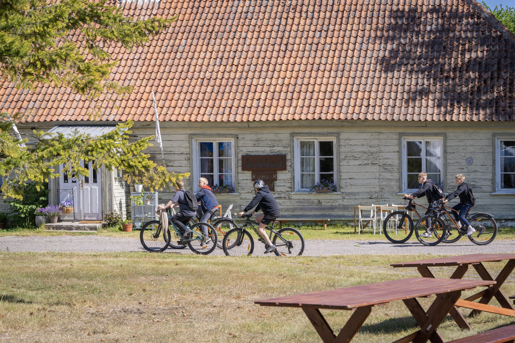 Ratturid Vabrikuväljakul