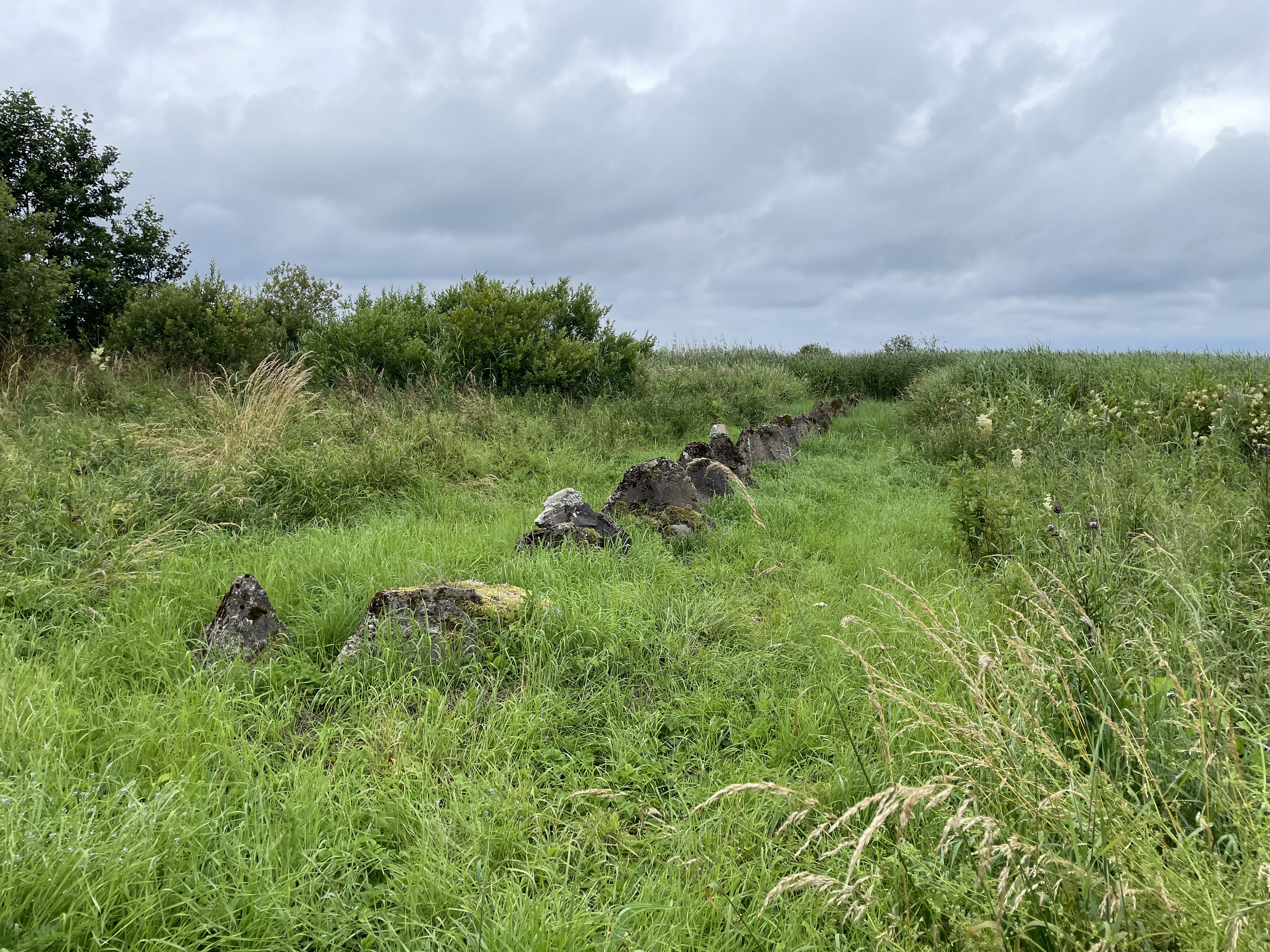 Tankitõke päranditee ääres