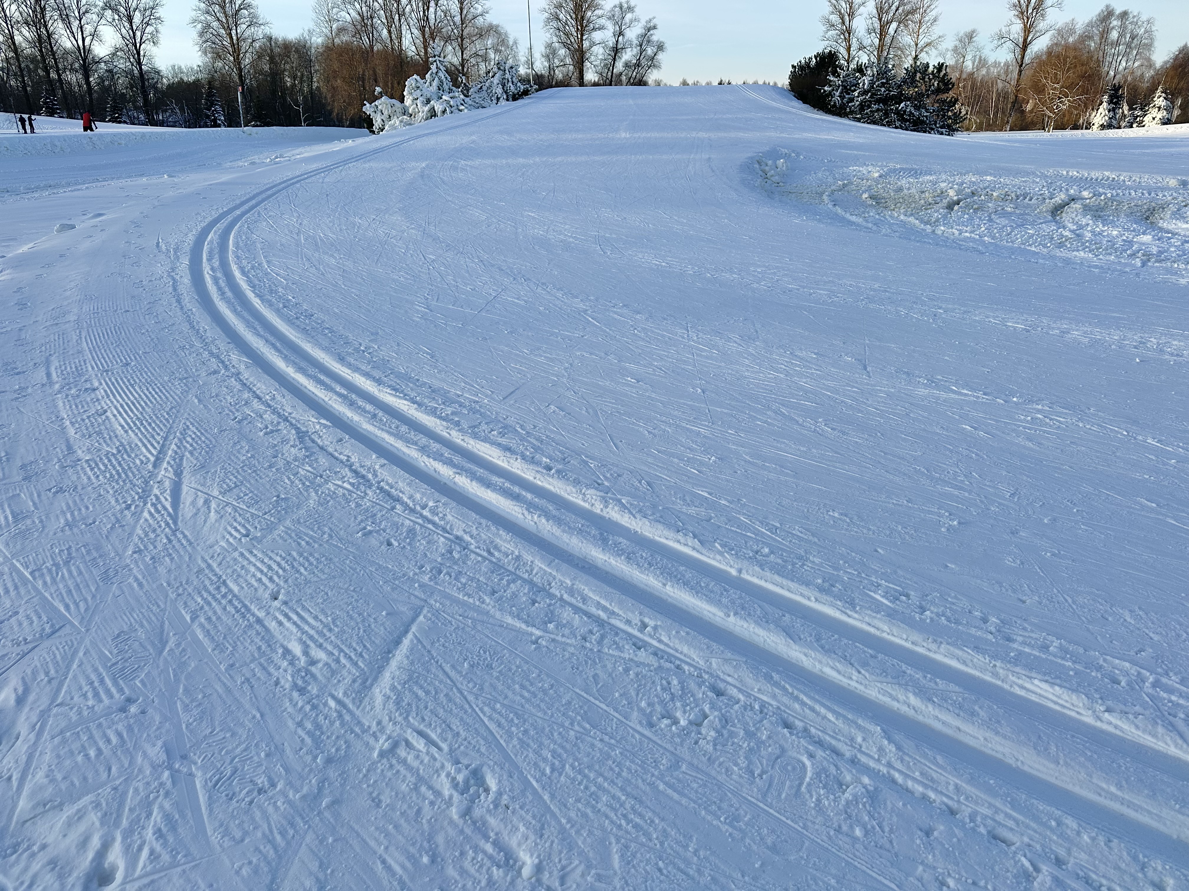 Tähtvere klassikasõidu suusarajad
