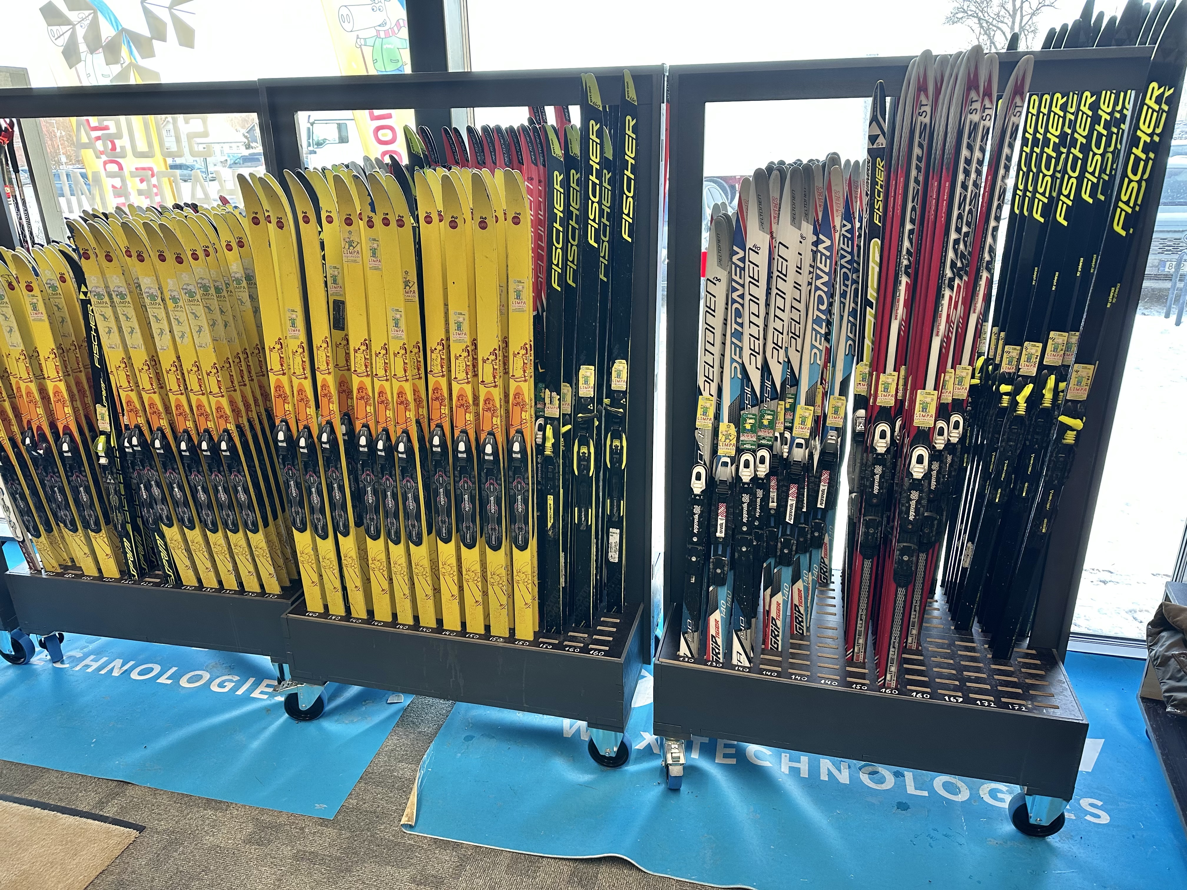 Tähtvere puhkepargis asuva suusaakadeemia suusalaenutus