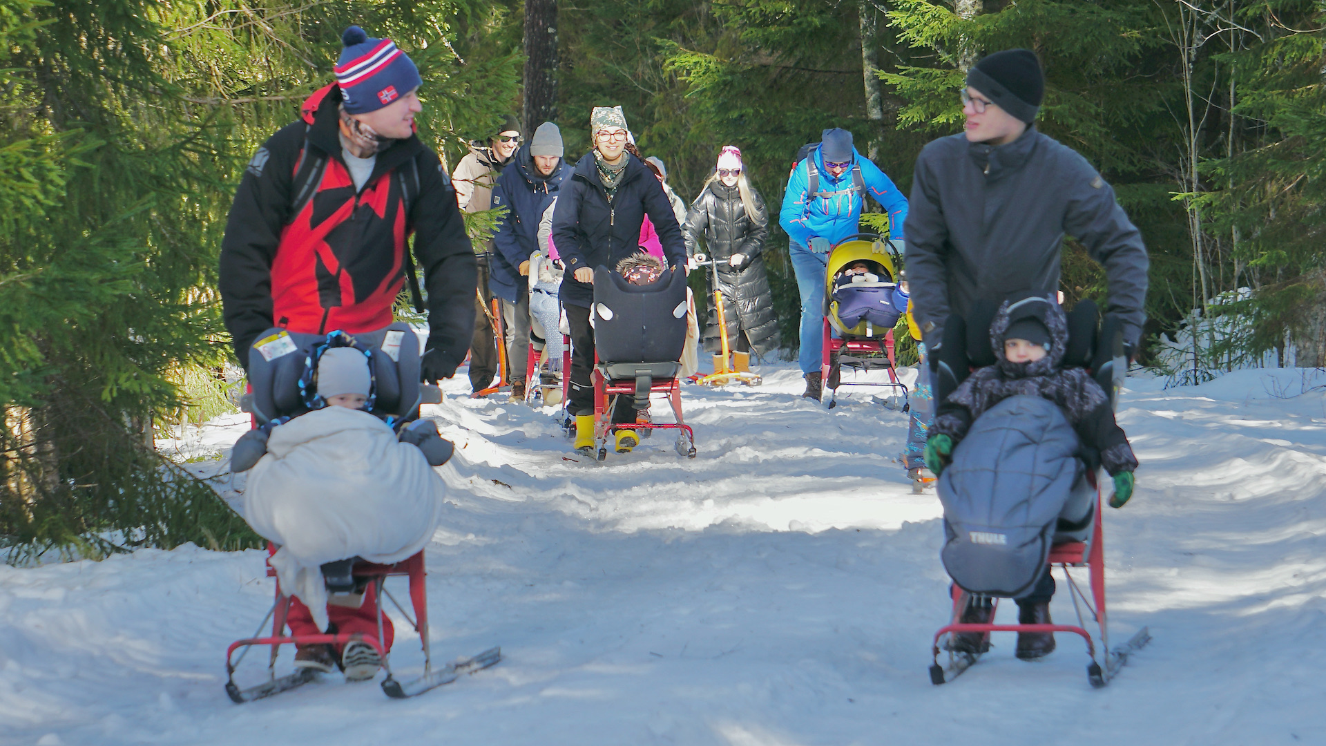 Tõukekelgumatk on lahe ja loodussõbralik liikumine lumistel loodusradadel koos matkajuhiga. Kasutame uusi, kergeid alumiiniumraamiga tõukekelke. Tõuke