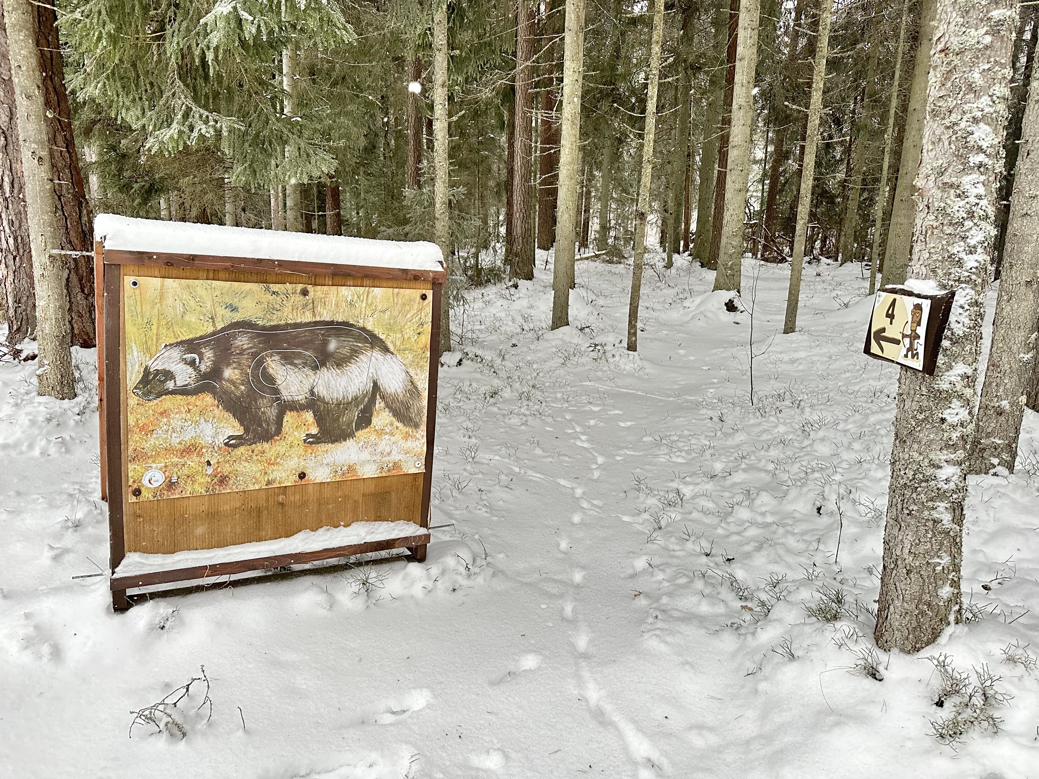 Tartumaa Tervisespordikeskuse lumine viburada