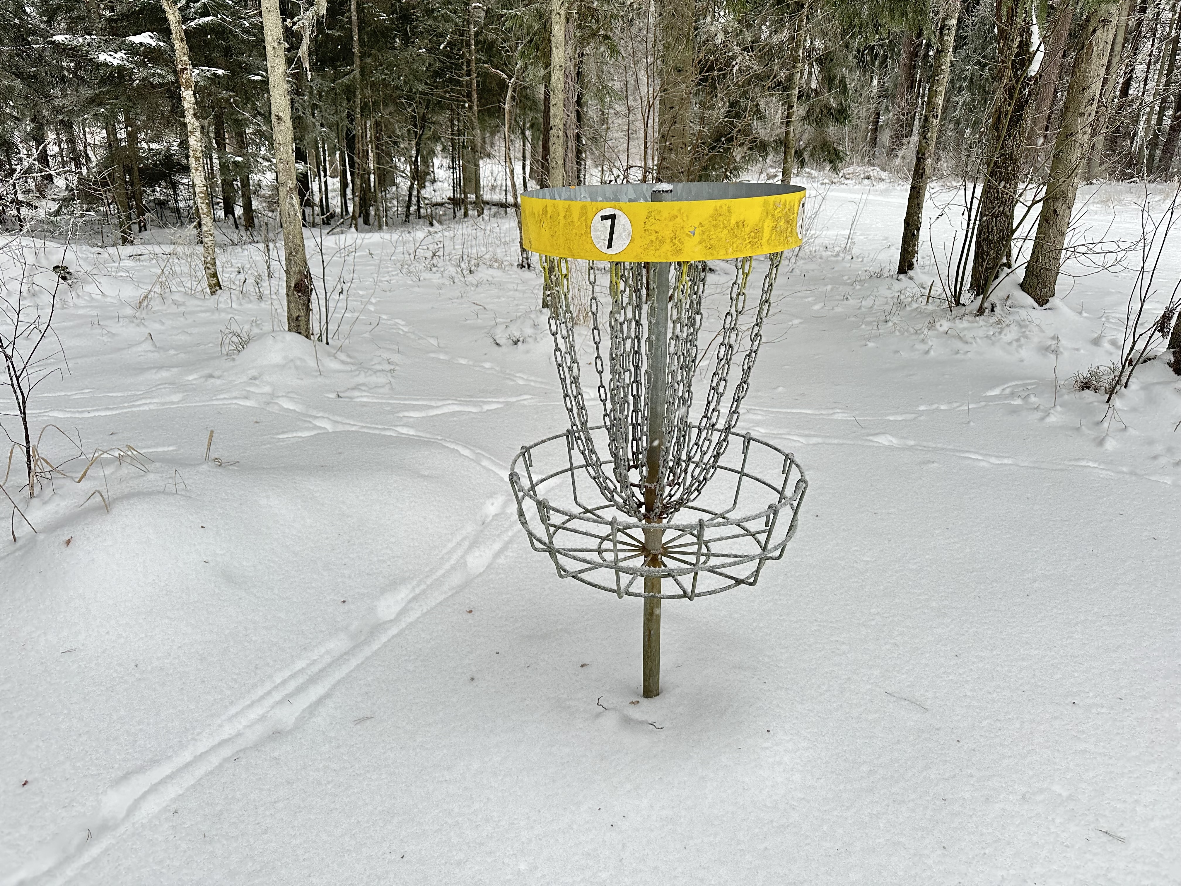 Tartumaa Tervisespordikeskuse discgolf talvel