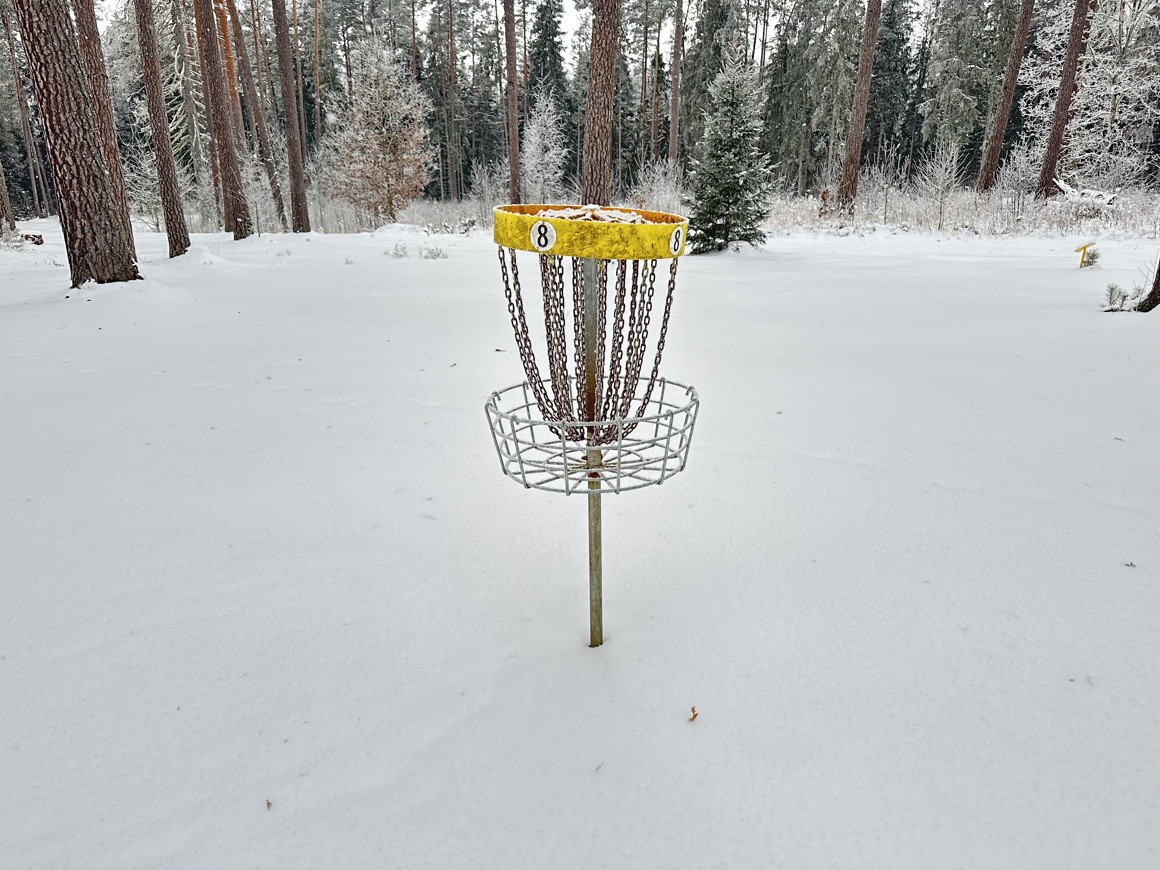 Tartumaa Tervisespordikeskuse discgolfi korv