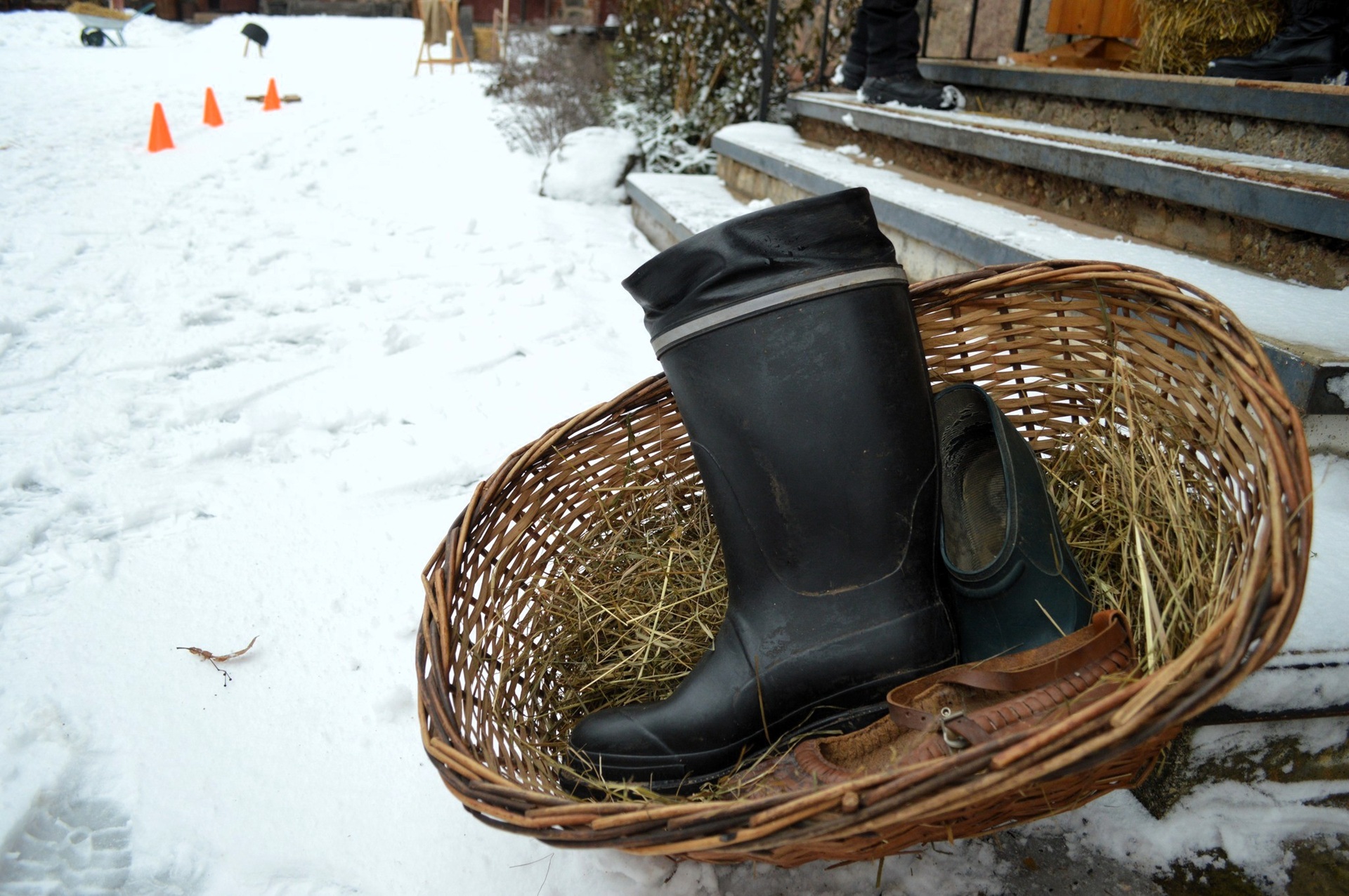 Vastlatrall Tori Hobusekasvanduses Soomaal