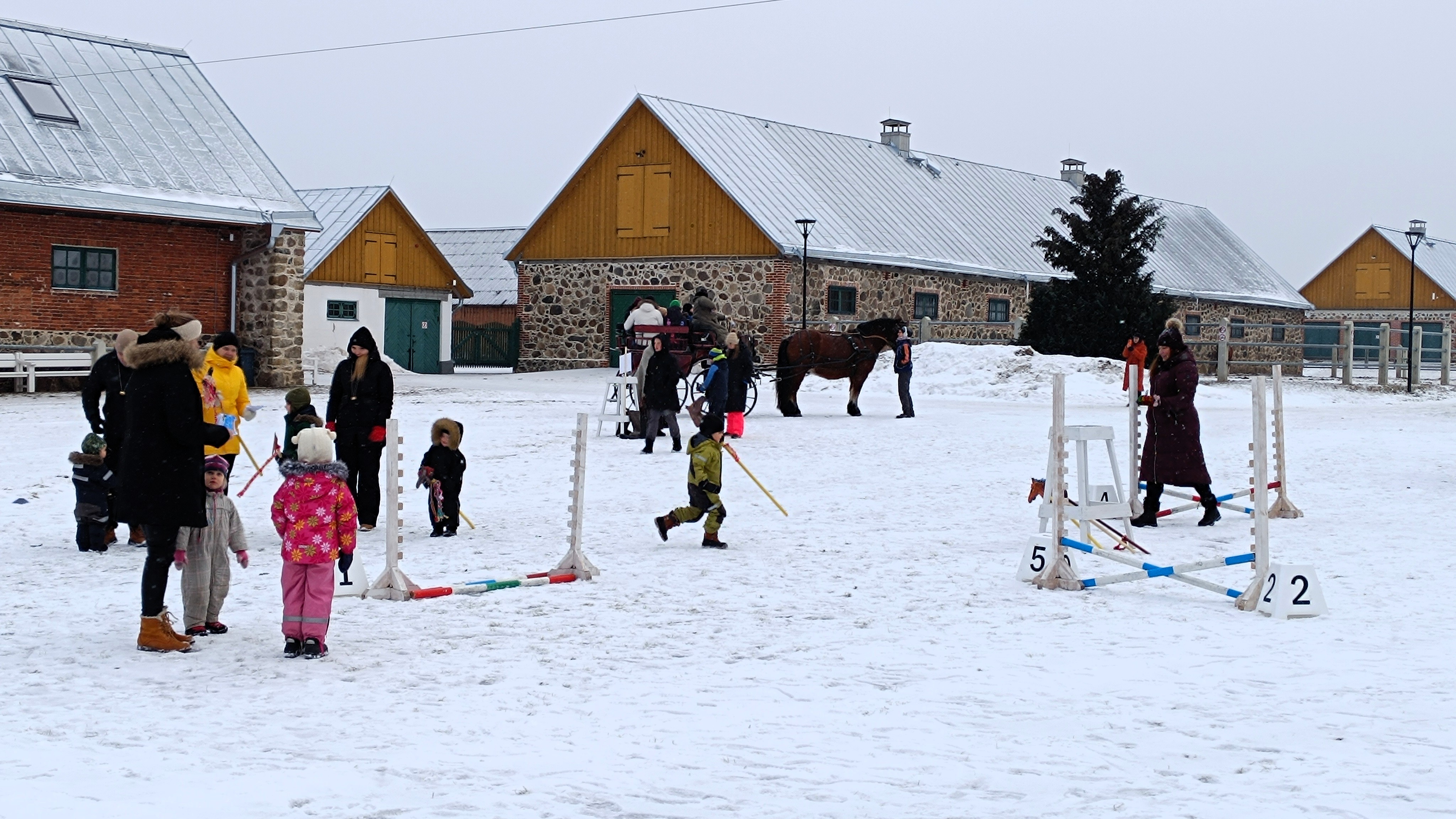 Tori Hobusekasvanduse talvisel Soomaal