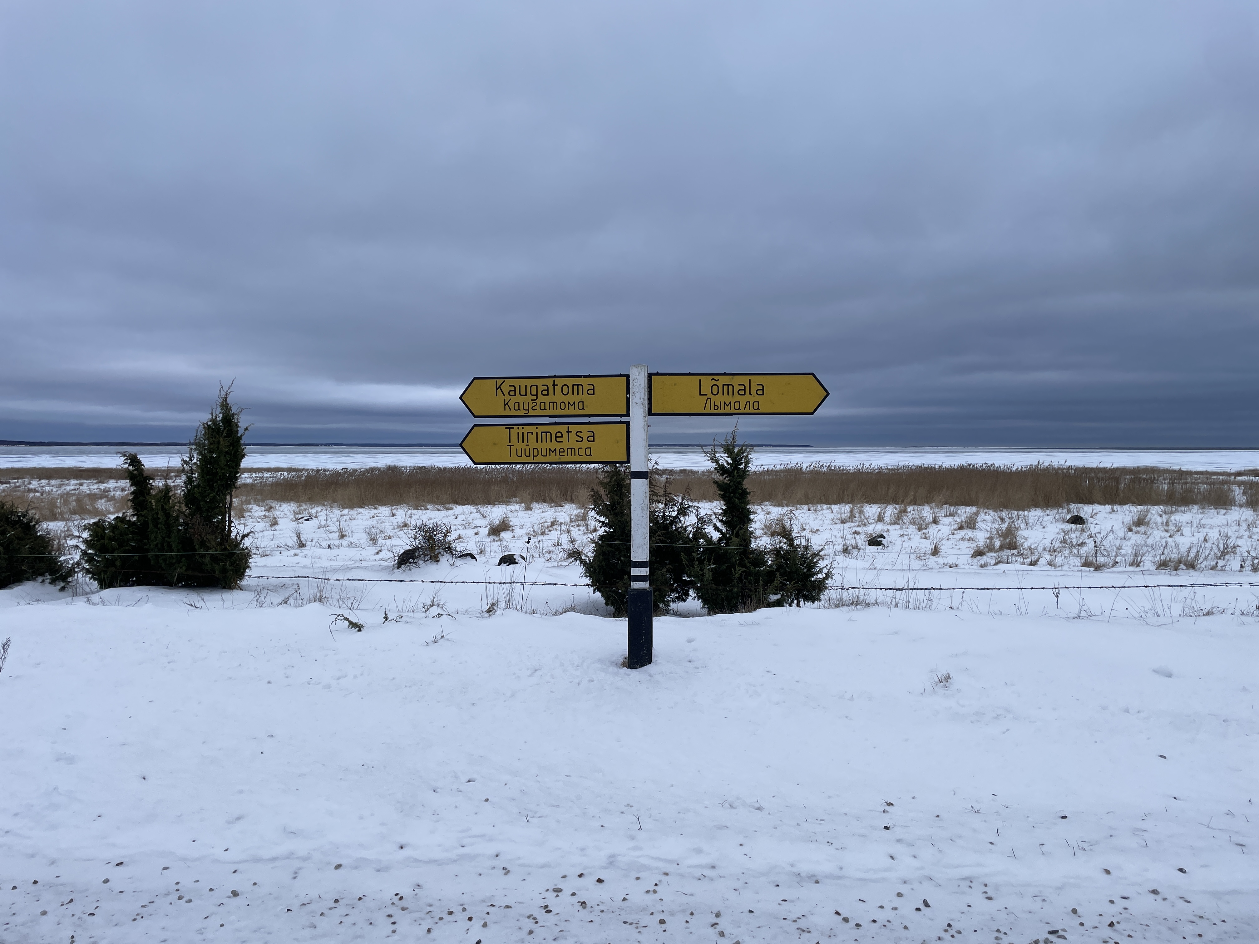 Teeviidad vanaaegse kujundusega