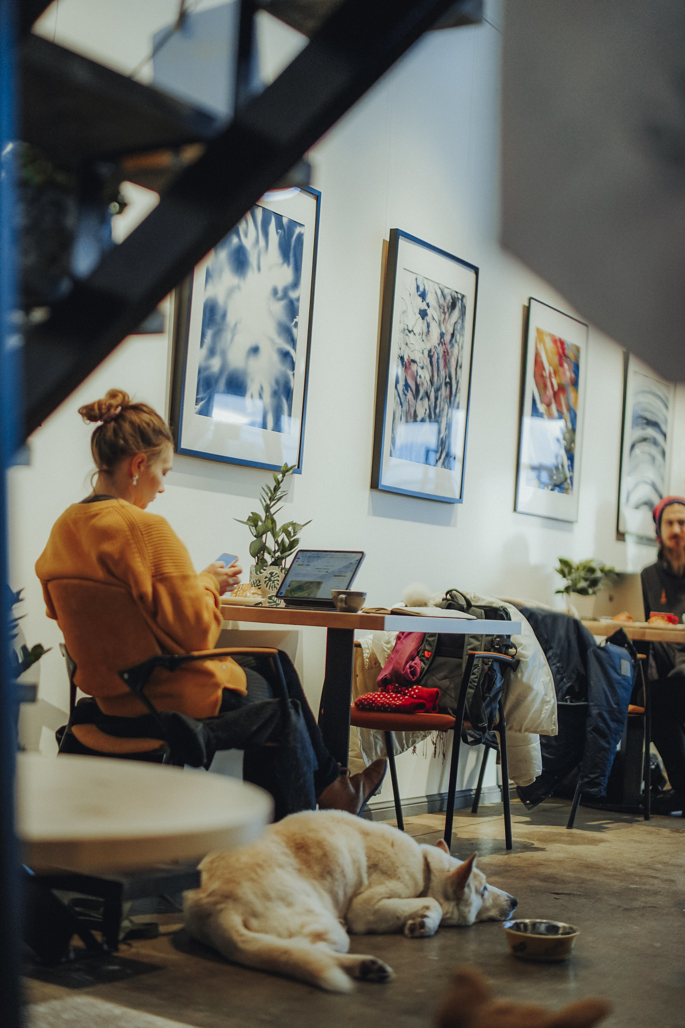 Hästikäituvad lemmikloomad on Samliku Pekkeris oodatud