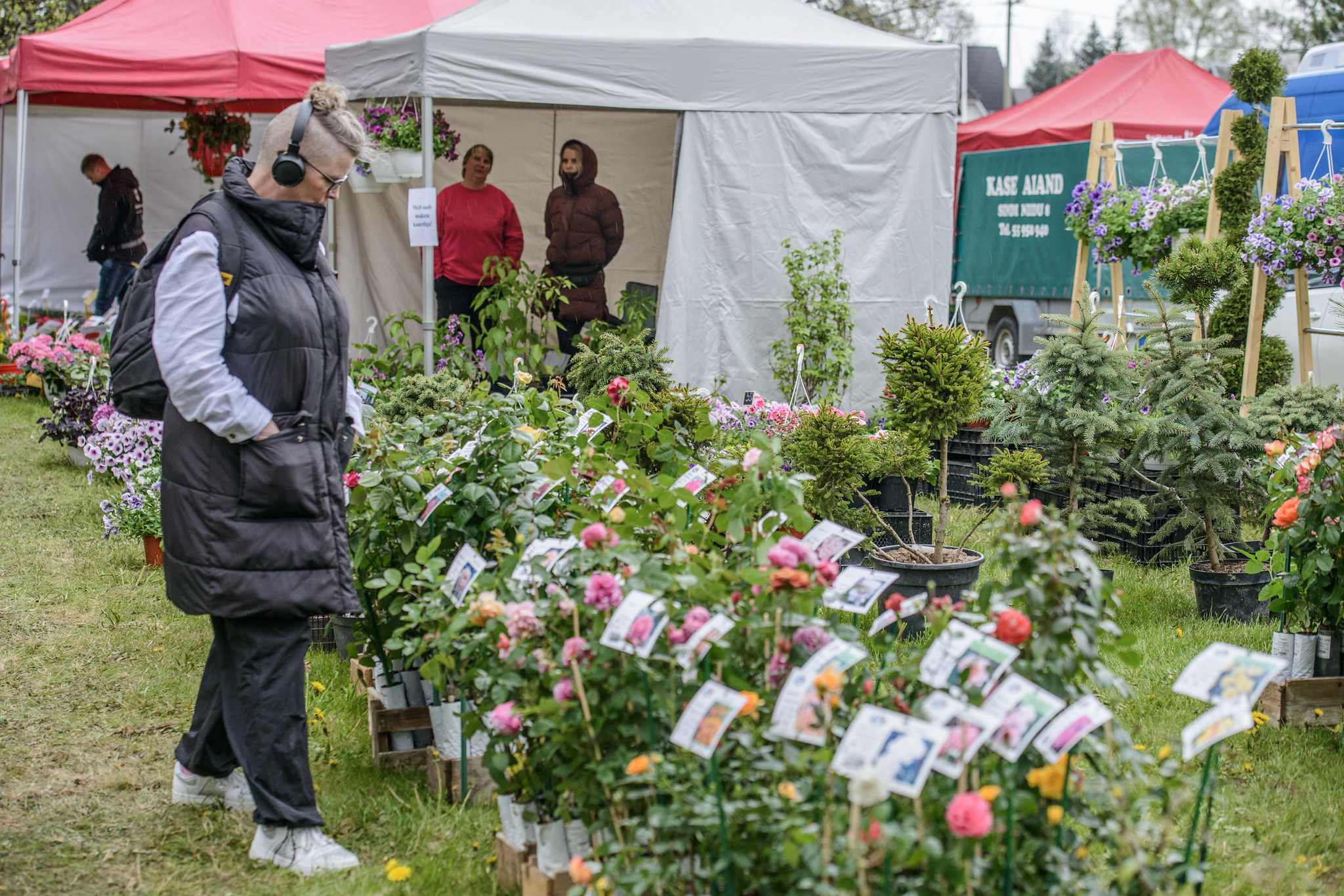 Lillede uudistaja Türi lillelaadal