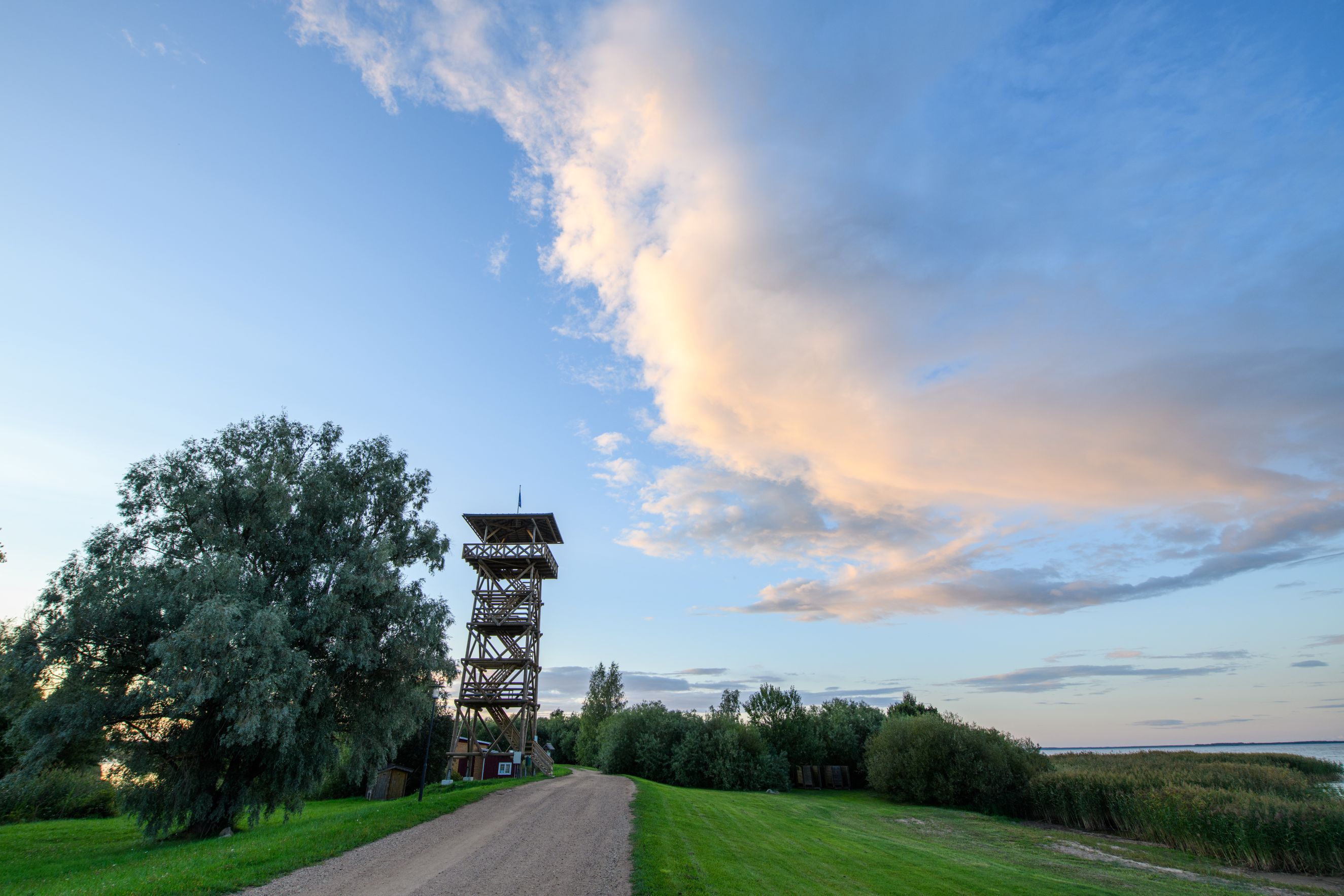 Räpina polder birdwatching tower