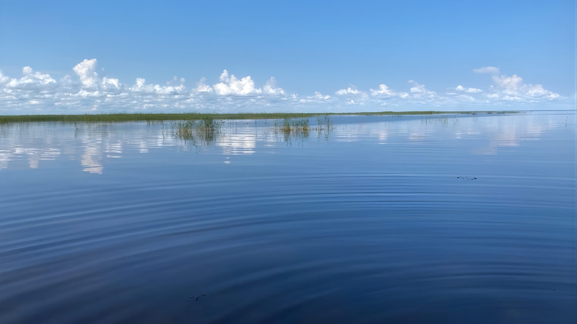Peegelsile Võrtsjärv