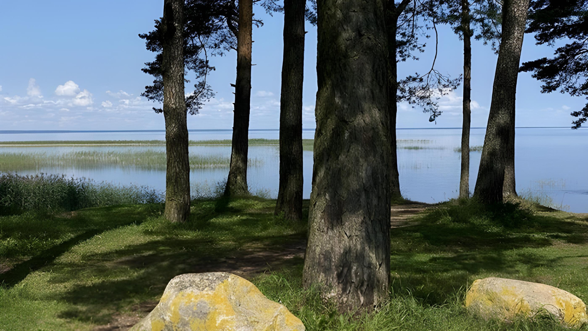 Trepimäe puhkeala vaade Võrtsjärevele