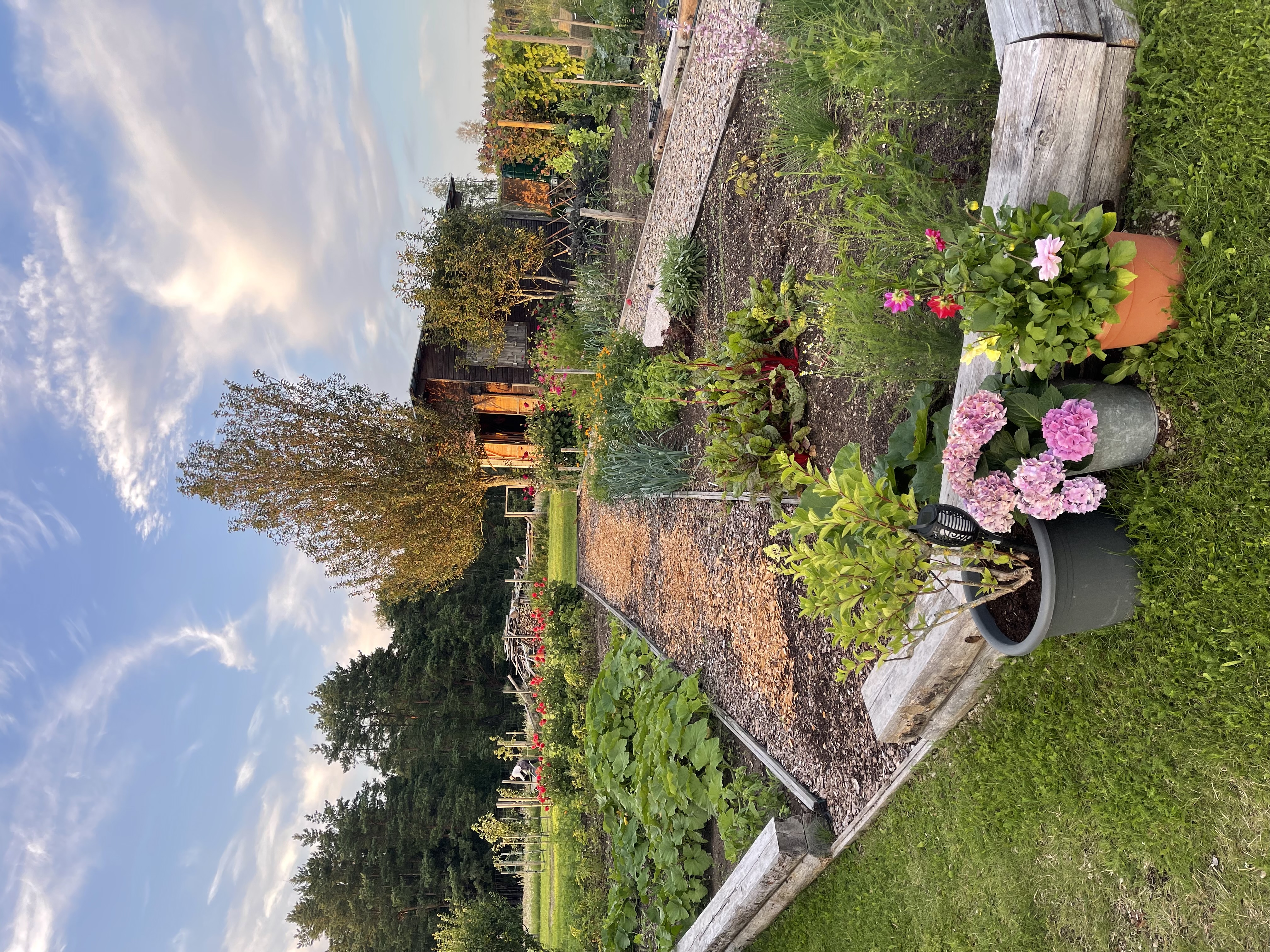 Kirsiaia Puhkemaja - tarbe-, õppe- ja iluaed