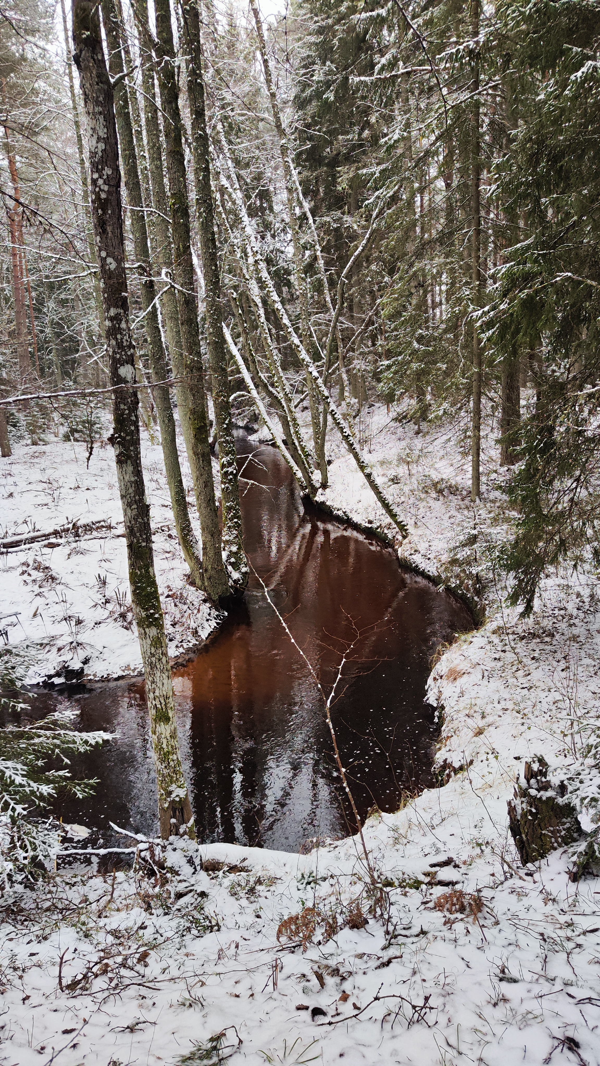 Kaberla oja võlu talvel