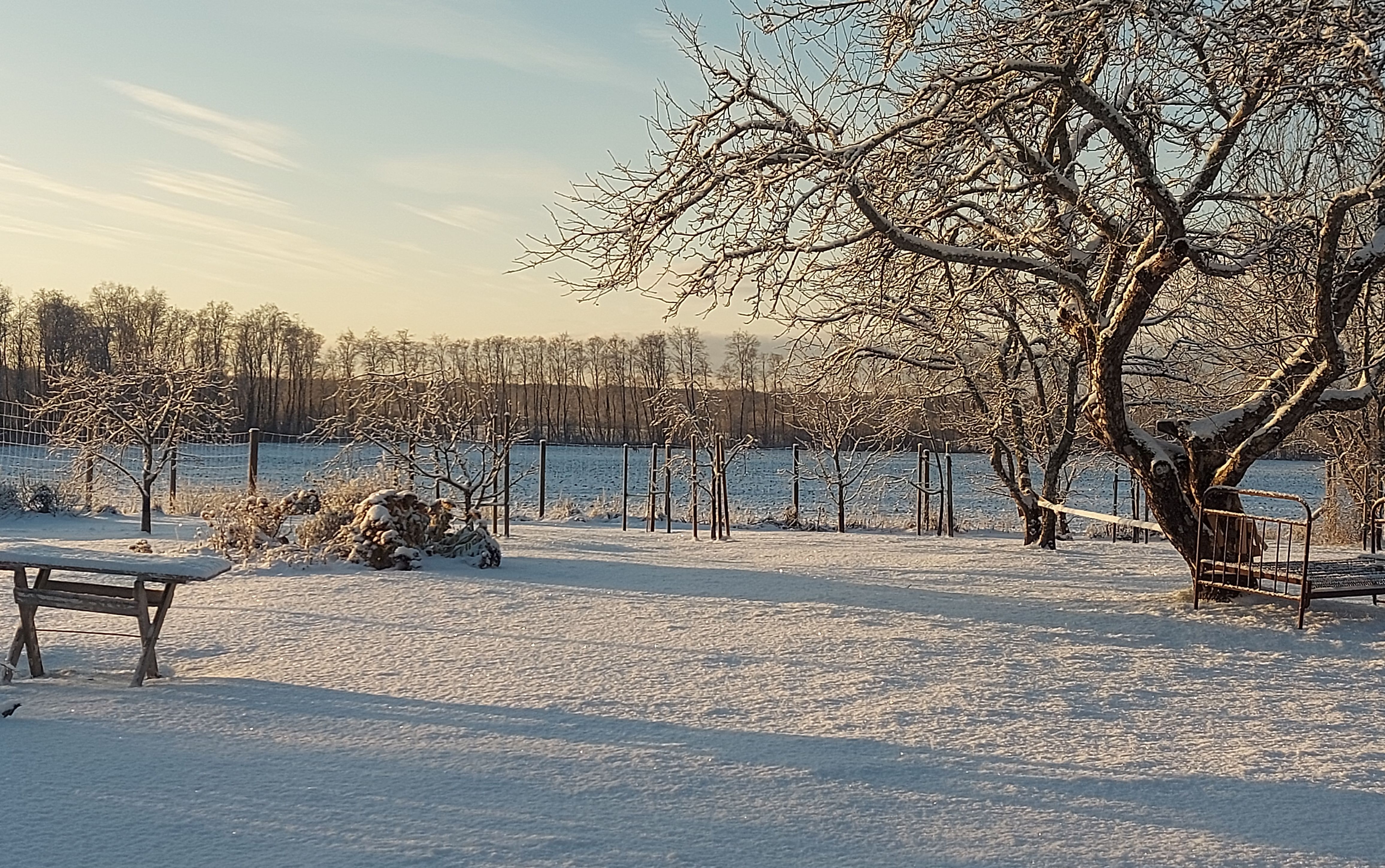 Kirsiaia Puhkemaja talvel