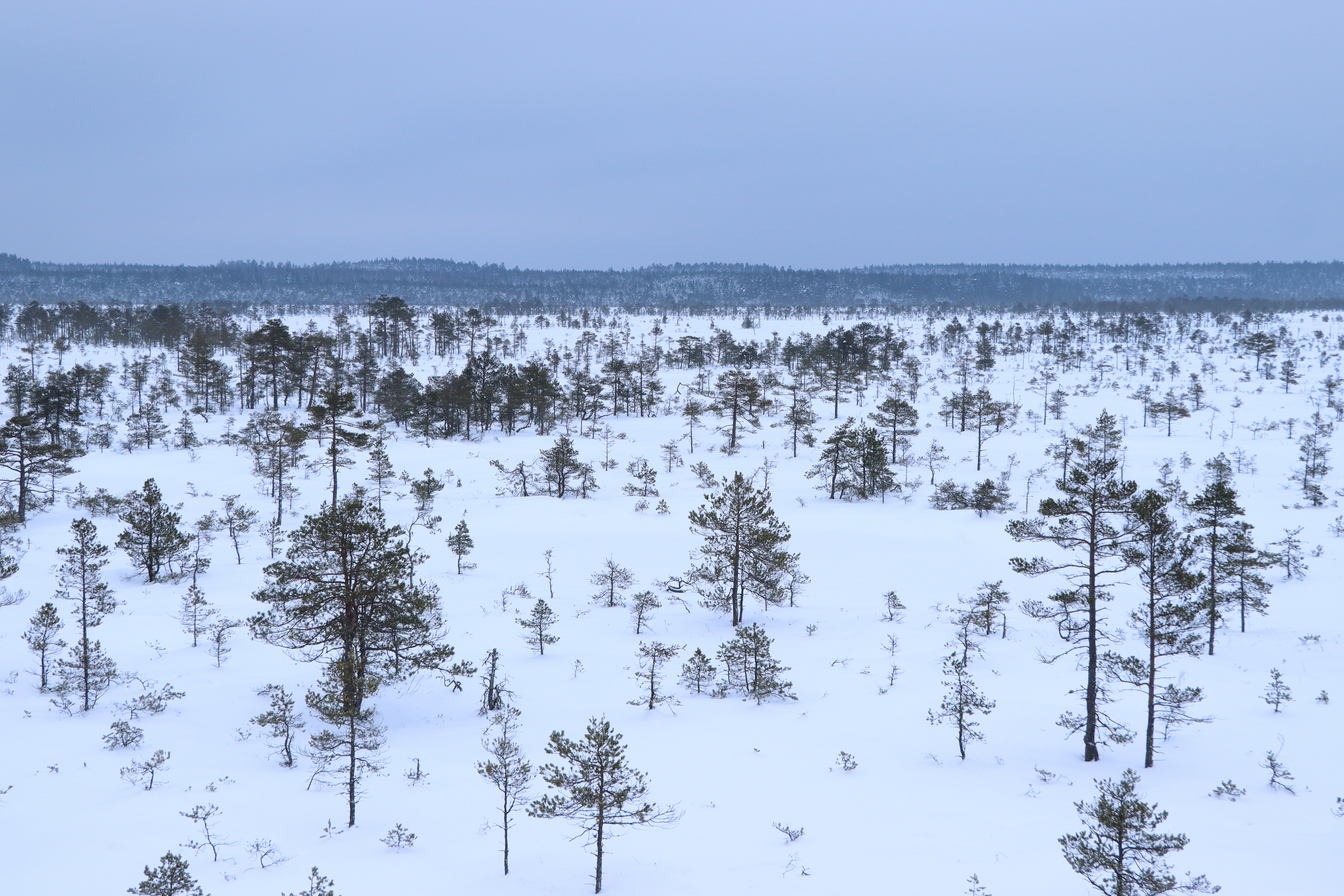 Talvine raba on lumine ja vaikne