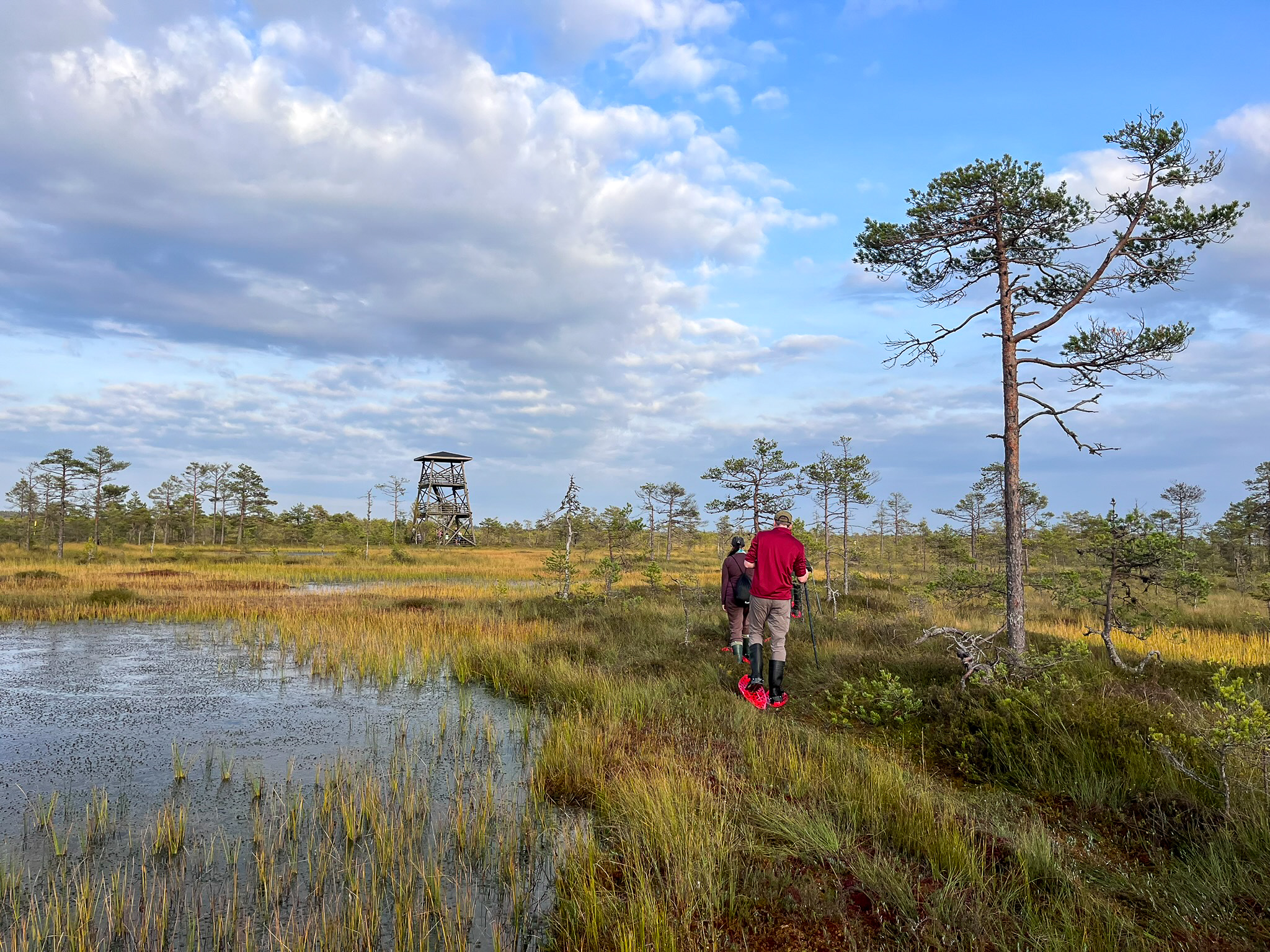 Räätsad viivad sind kohtadesse rabas, mis on muidu kättesaamatud