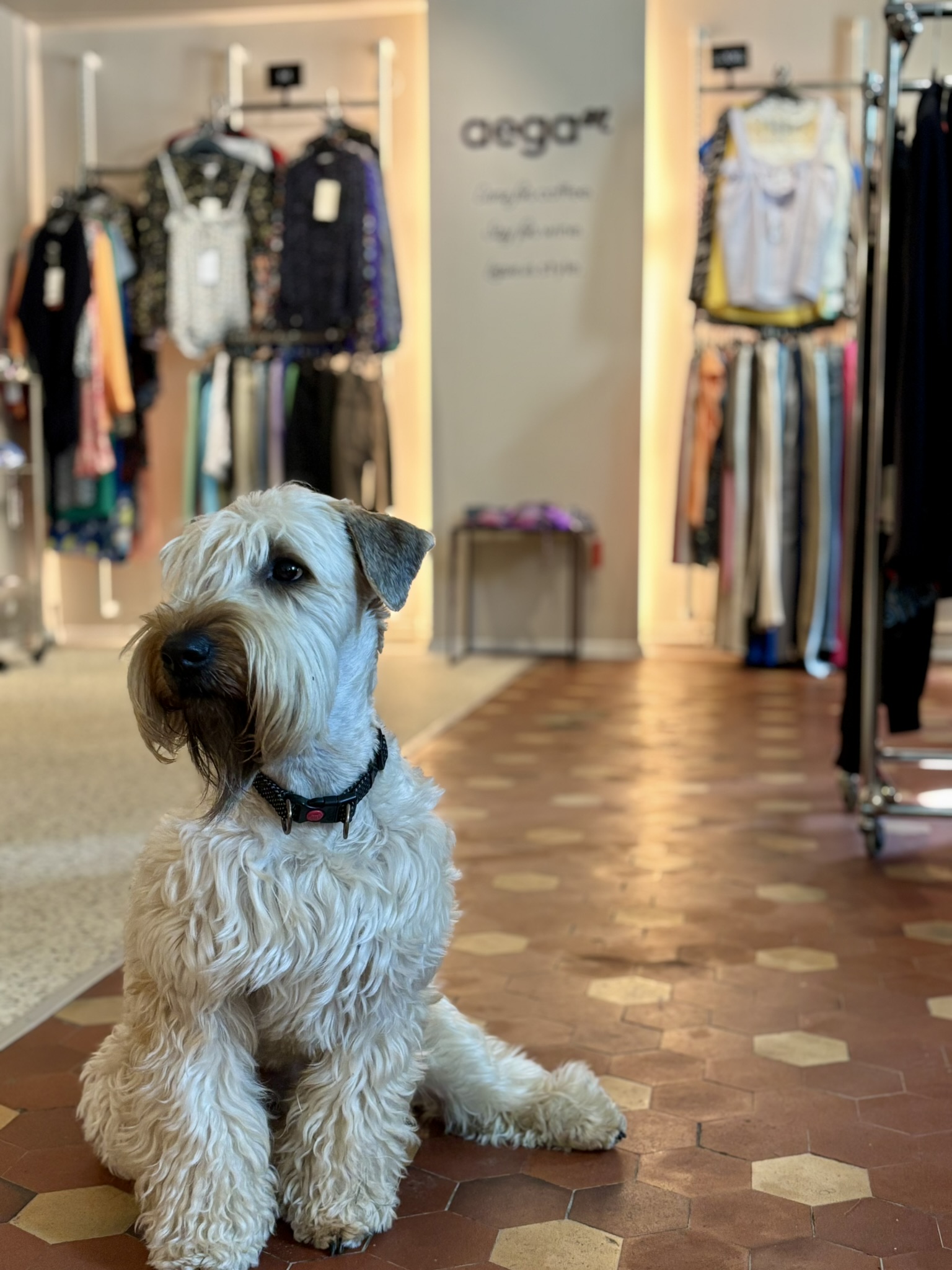 Kvaliteetse valikuga outlet-riidepood Aega On!