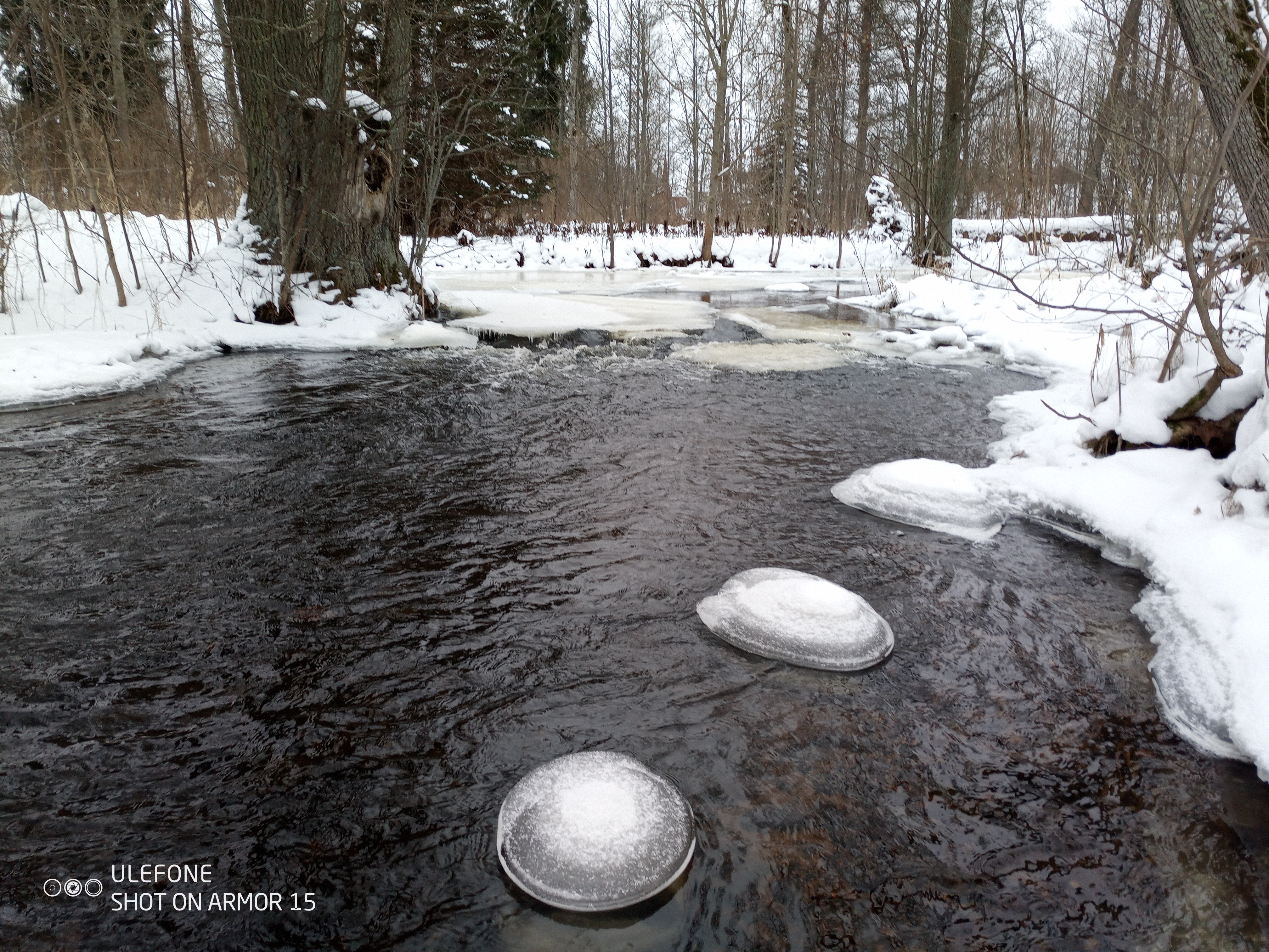 Talvine Õisu mõisapark