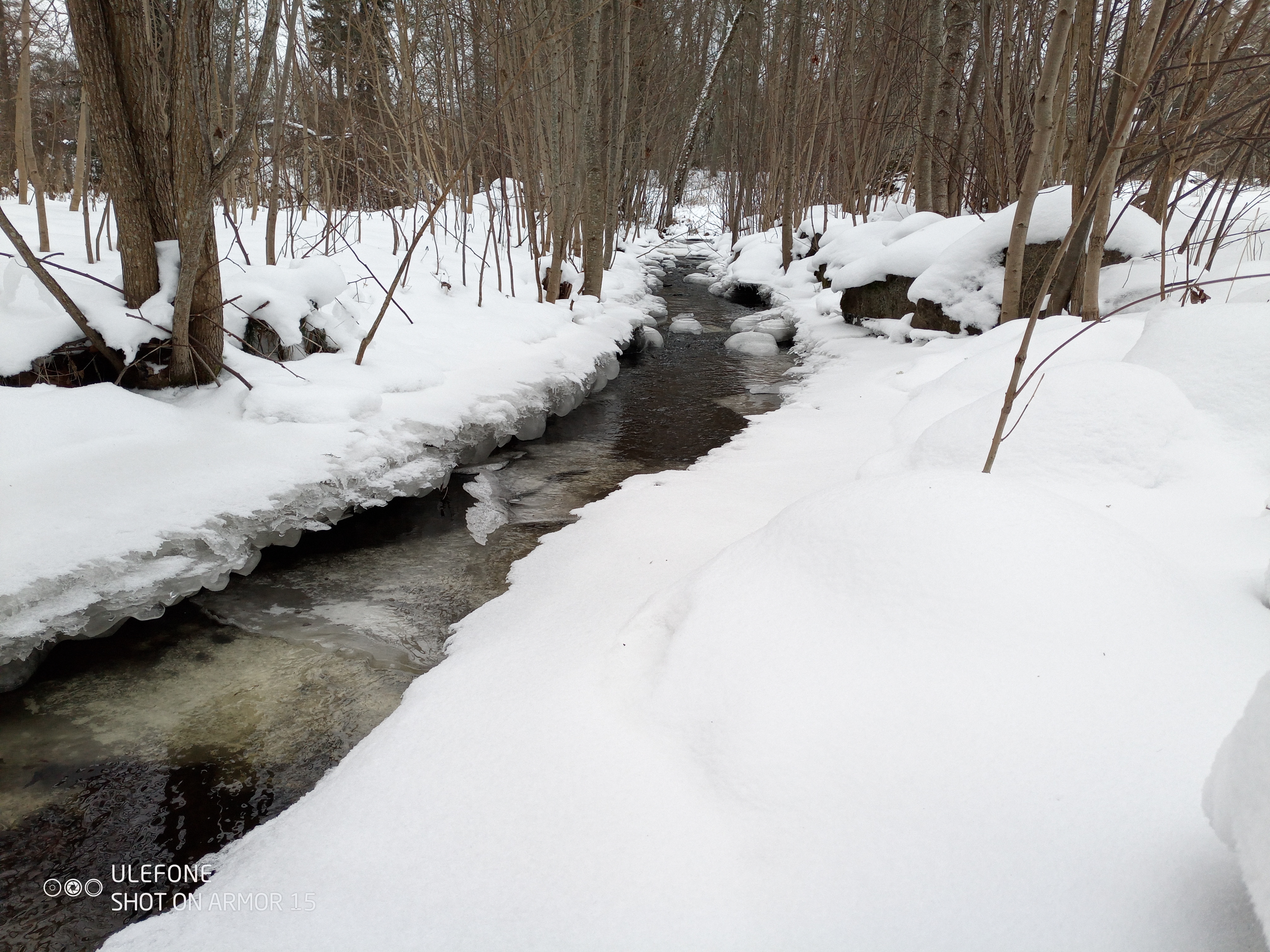 Talvine Õisu mõisapark