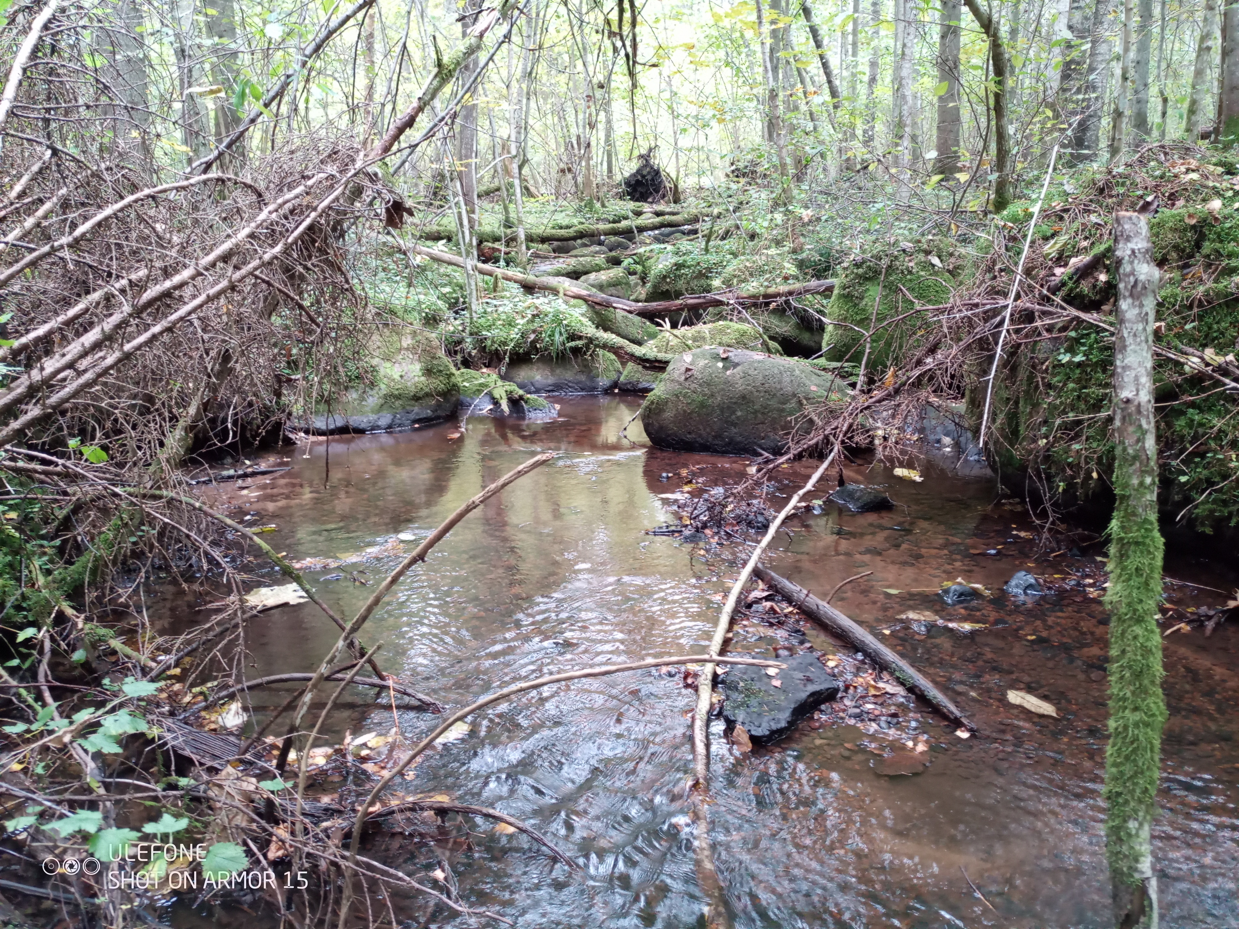 saladuslik Õisu matkarada