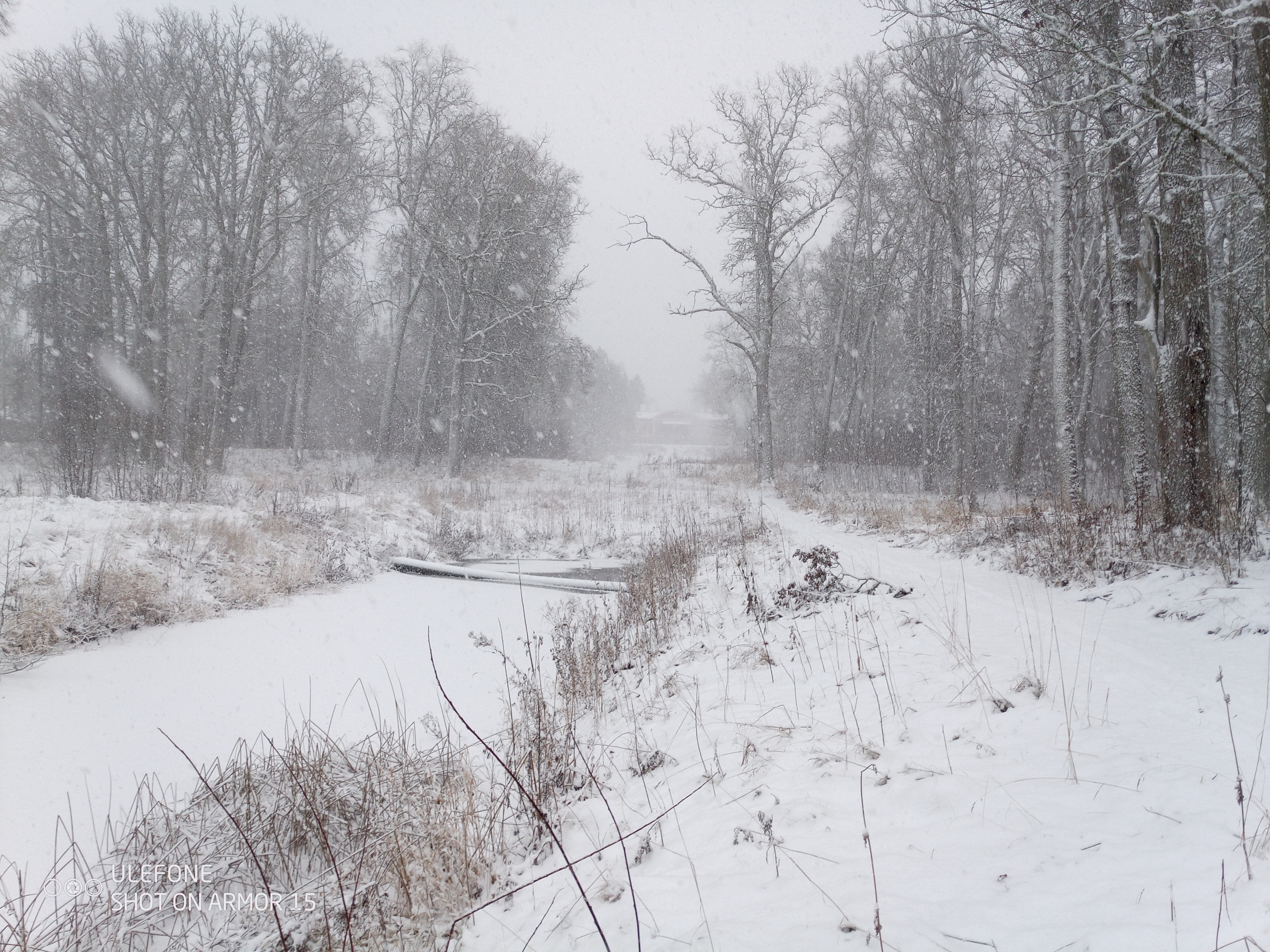 Talvine Õisu mõisapark