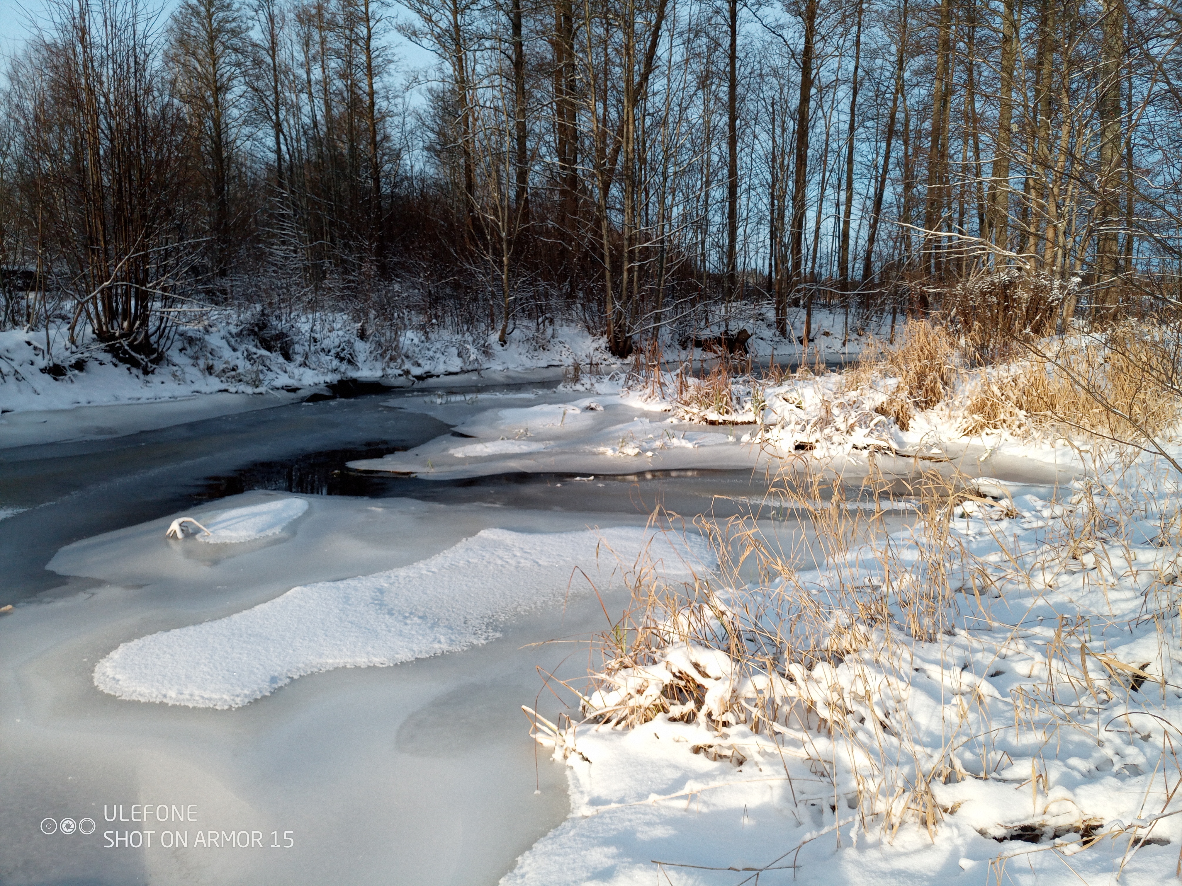 Talvine Õisu mõisapark
