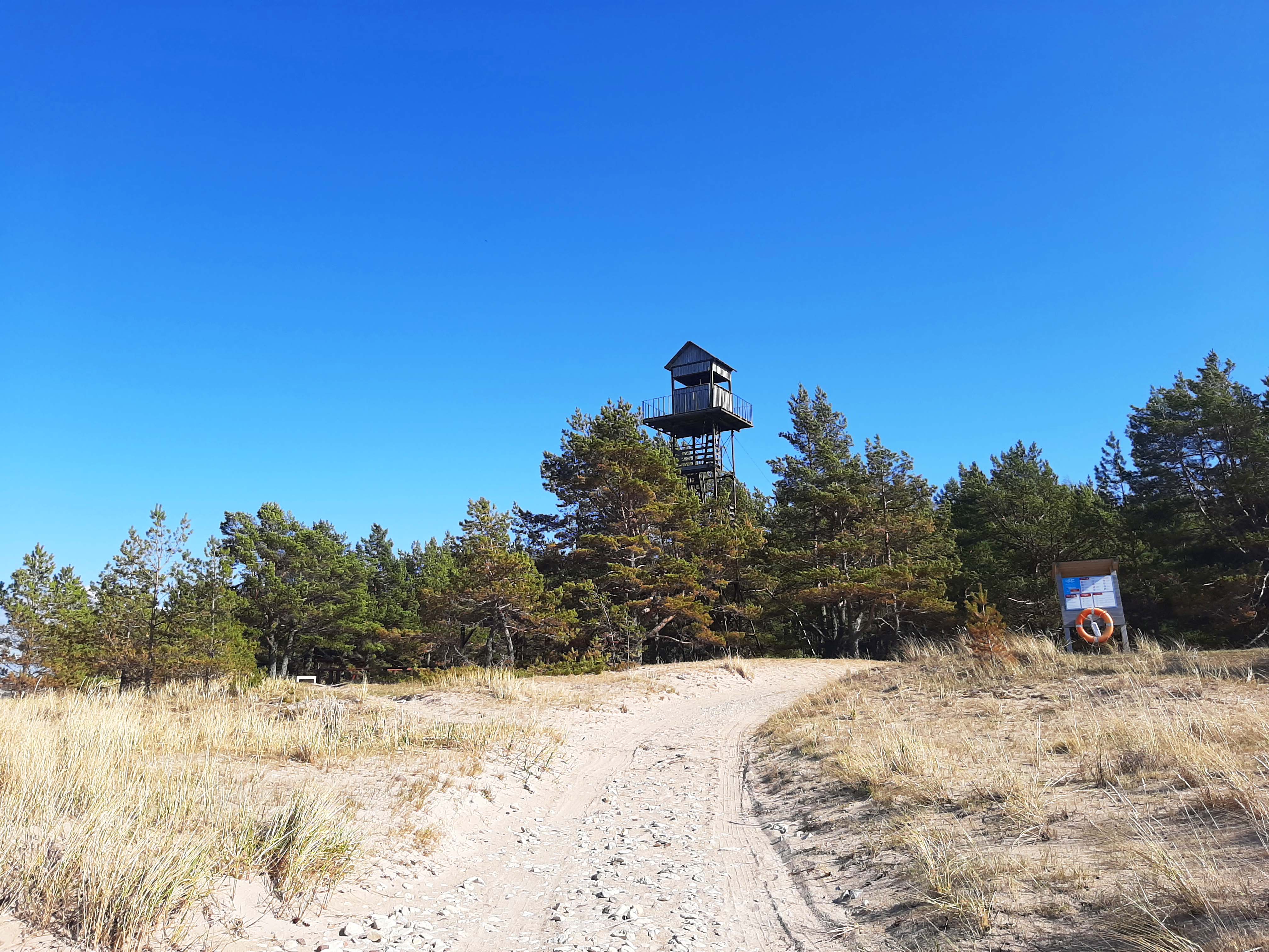 Palli study trail features ancient spruce and pine forests, alternating with occasionally flooded marshy forest. On the coast you can learn about coas