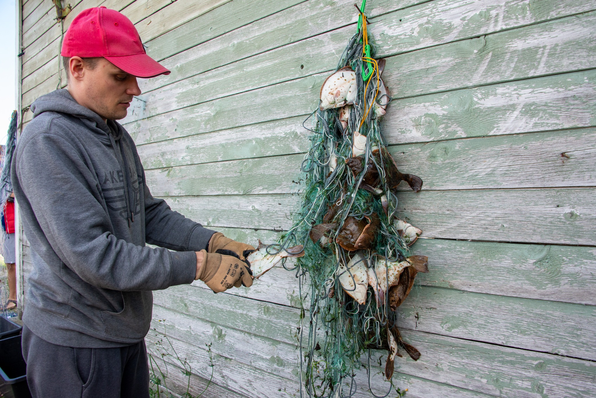 Lestapüügi võistlus