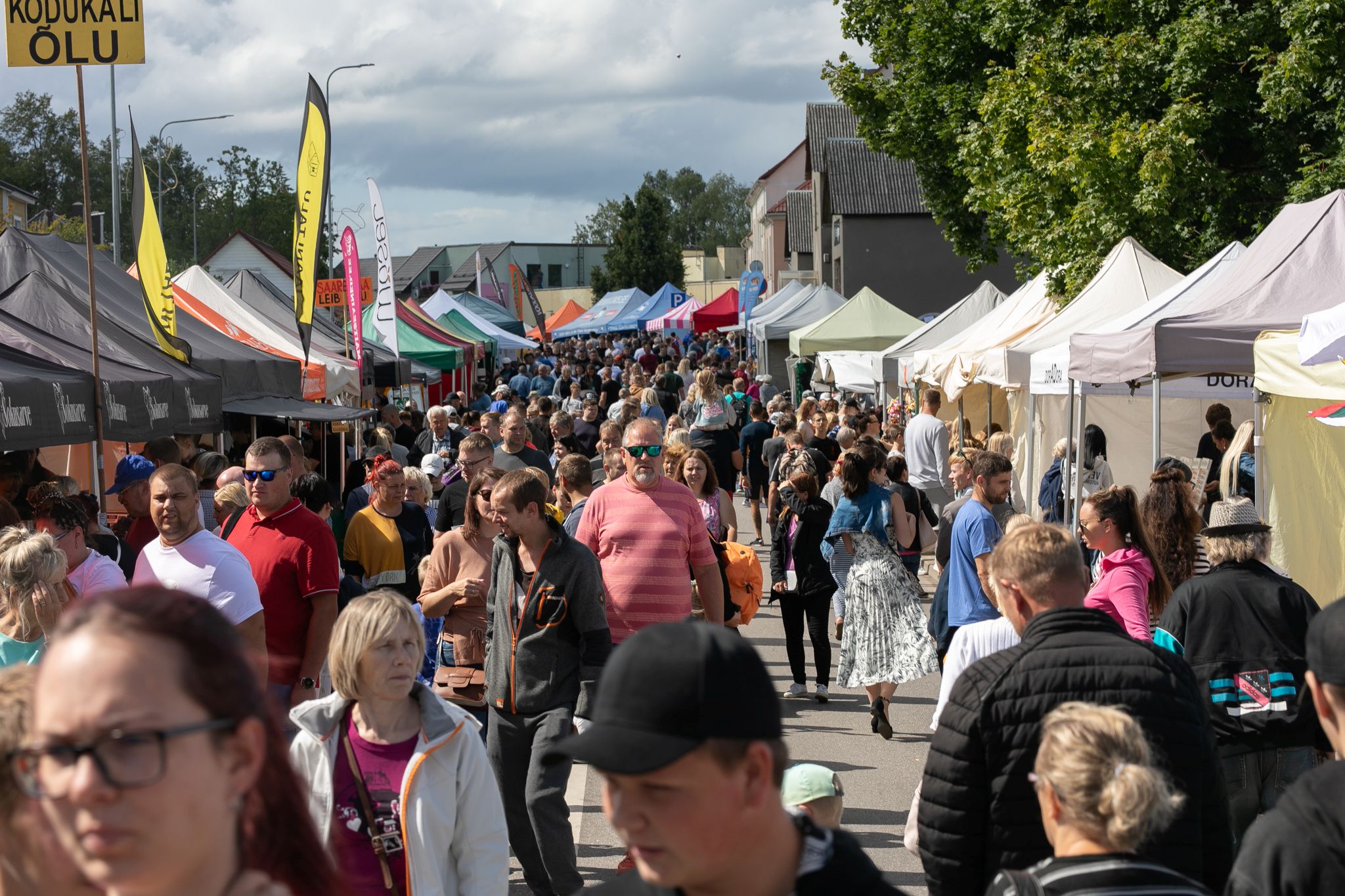 Hauka laat Antsla linna tänavetel