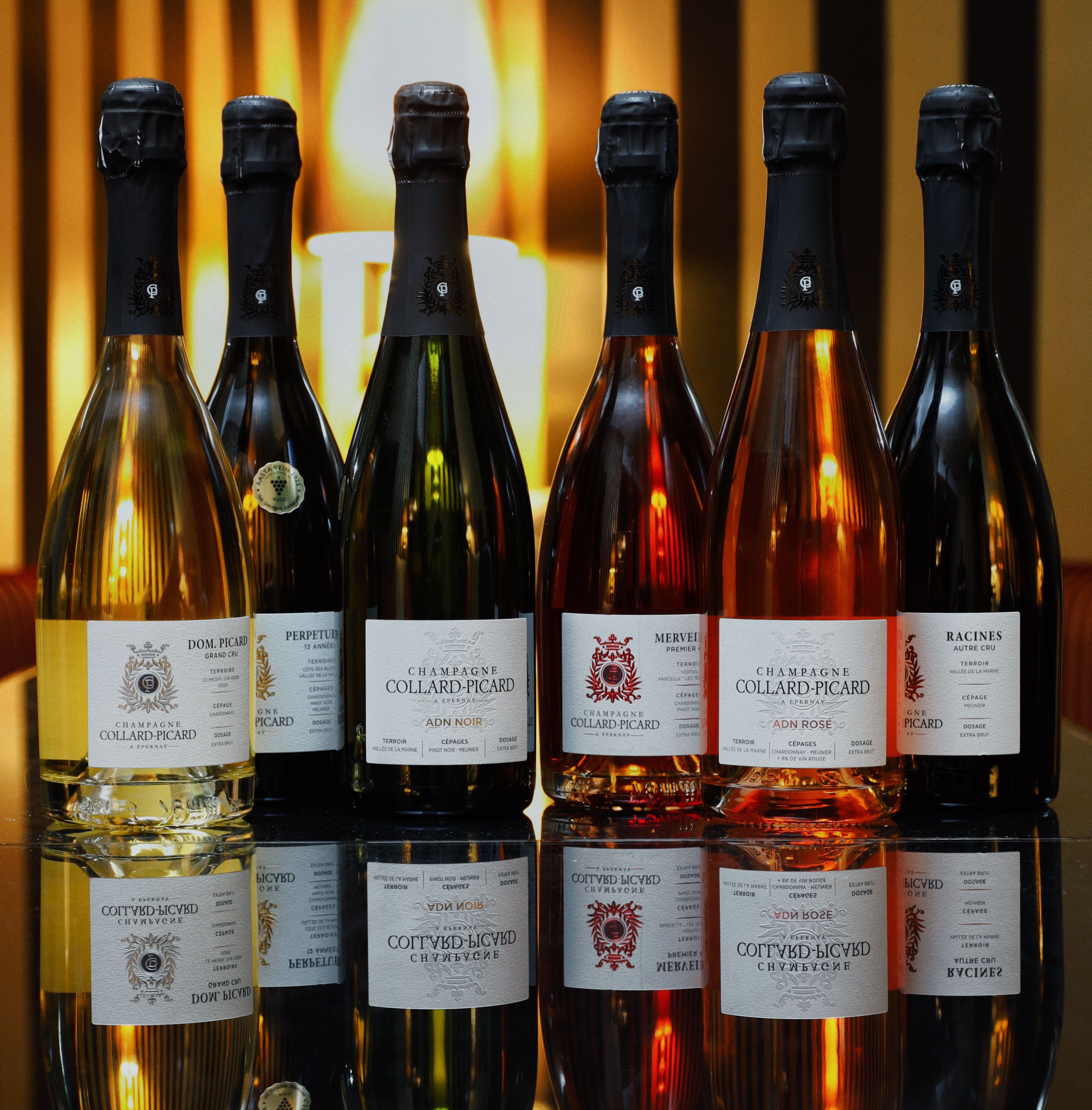 Collard-Picard_CestLavie_Kork