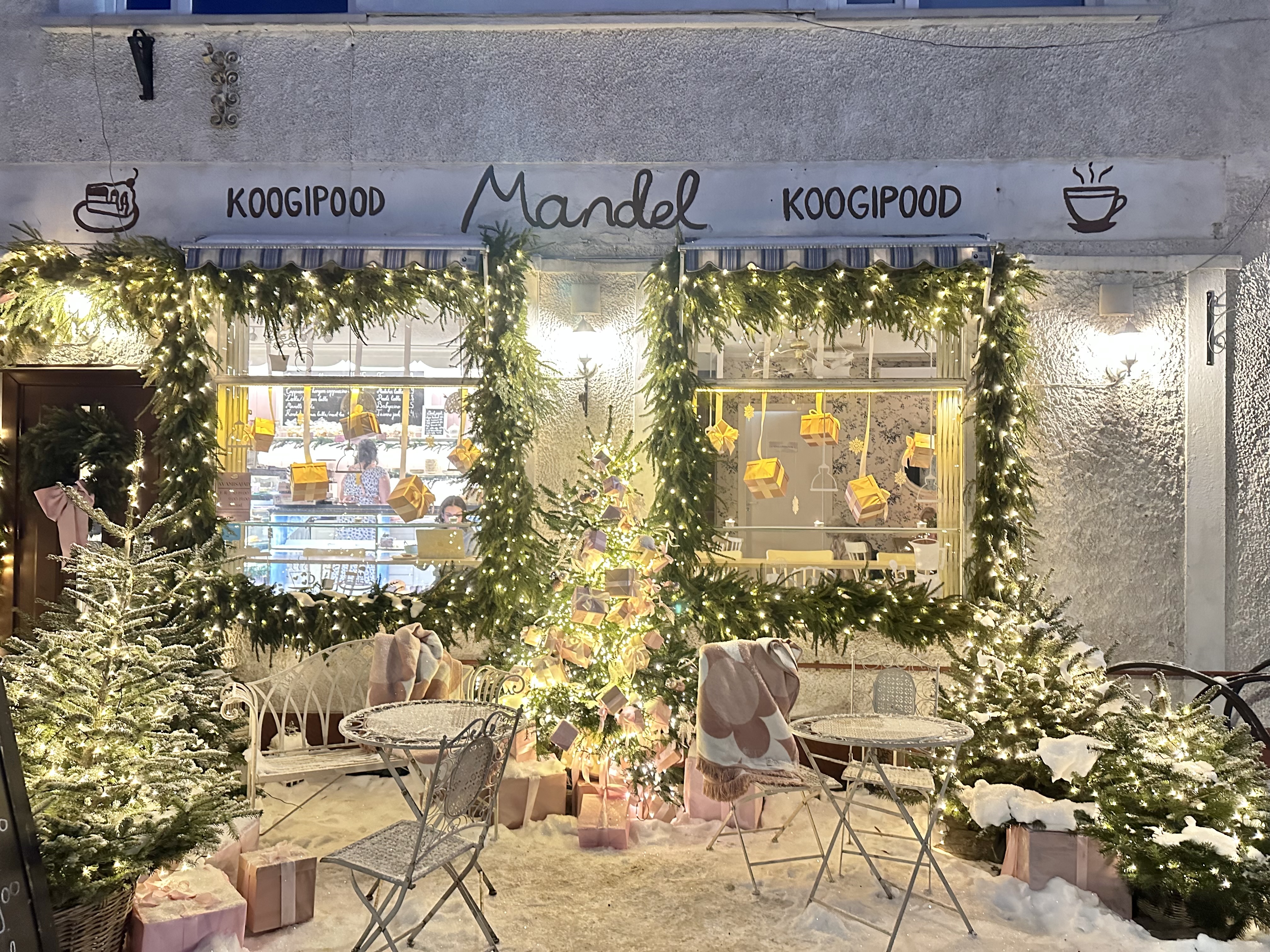 Talvevõlumaa koogipoes Mandel