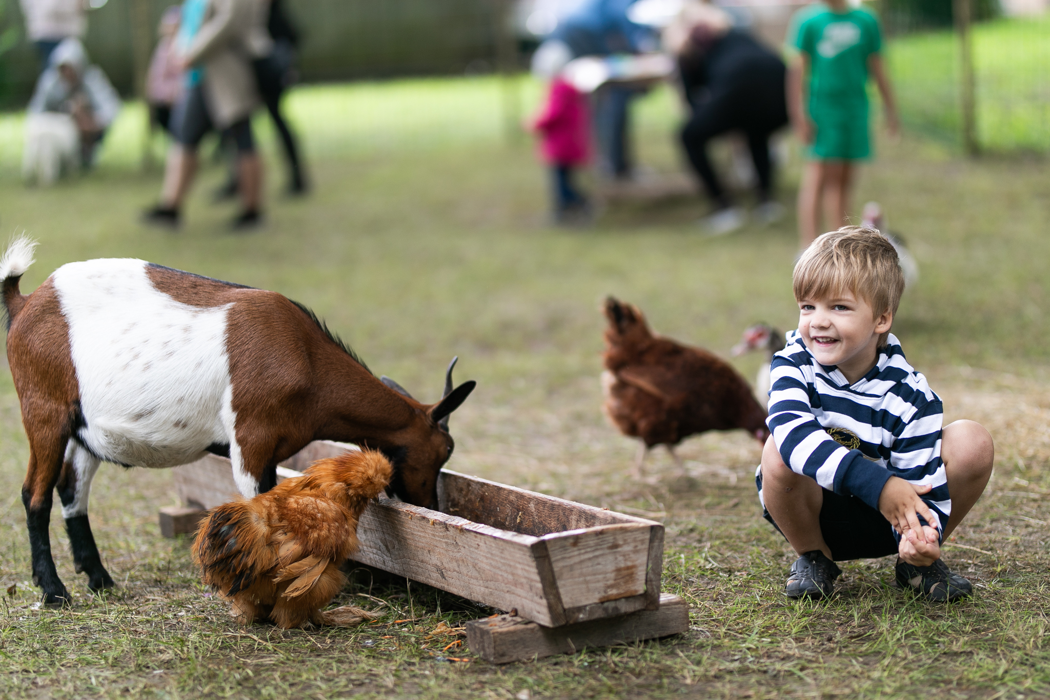 Hauka laada lasteala