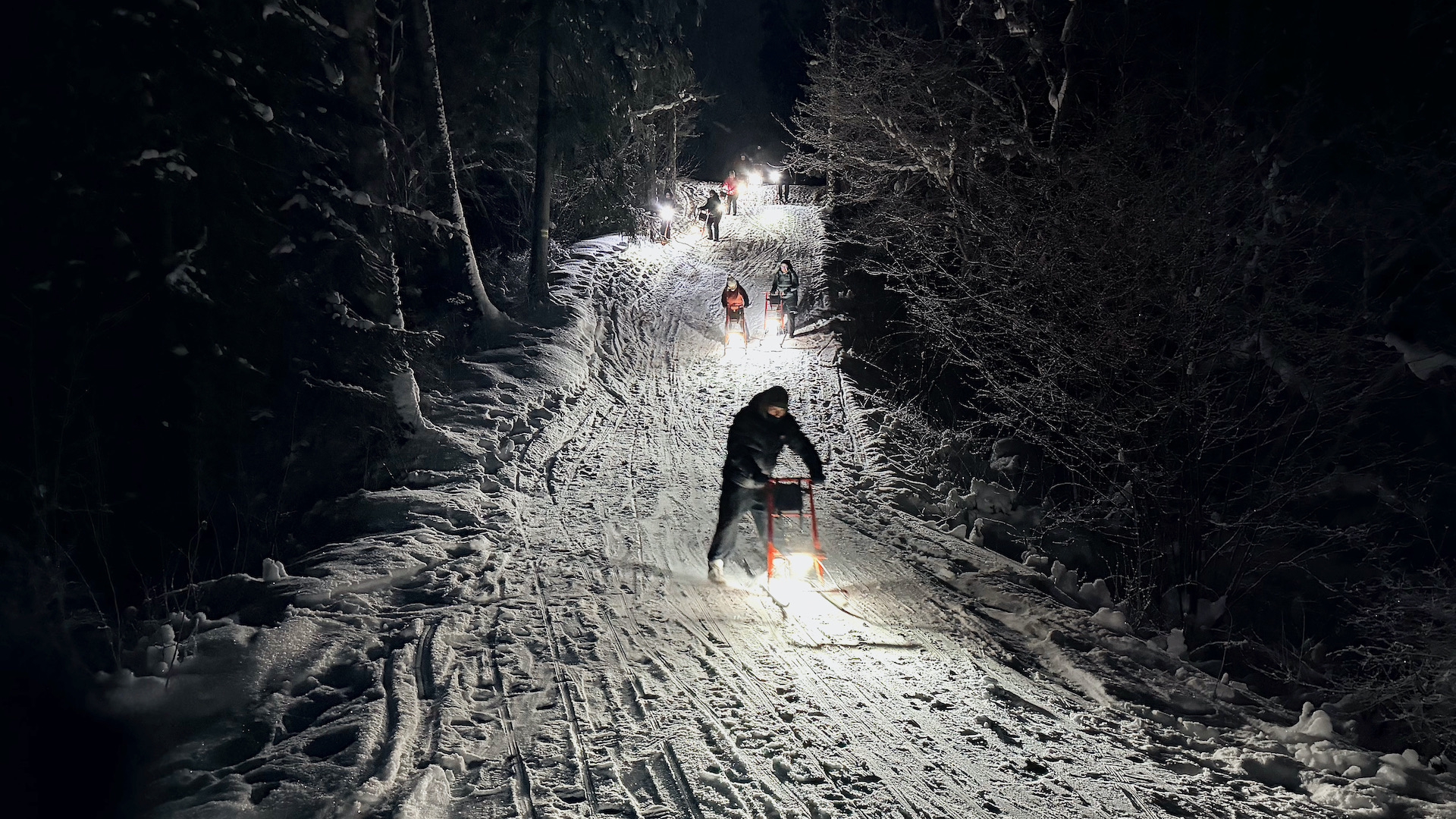Fahrt auf beleuchteten Tretschlitten mit Matkajuht.ee in Kõrvemaa