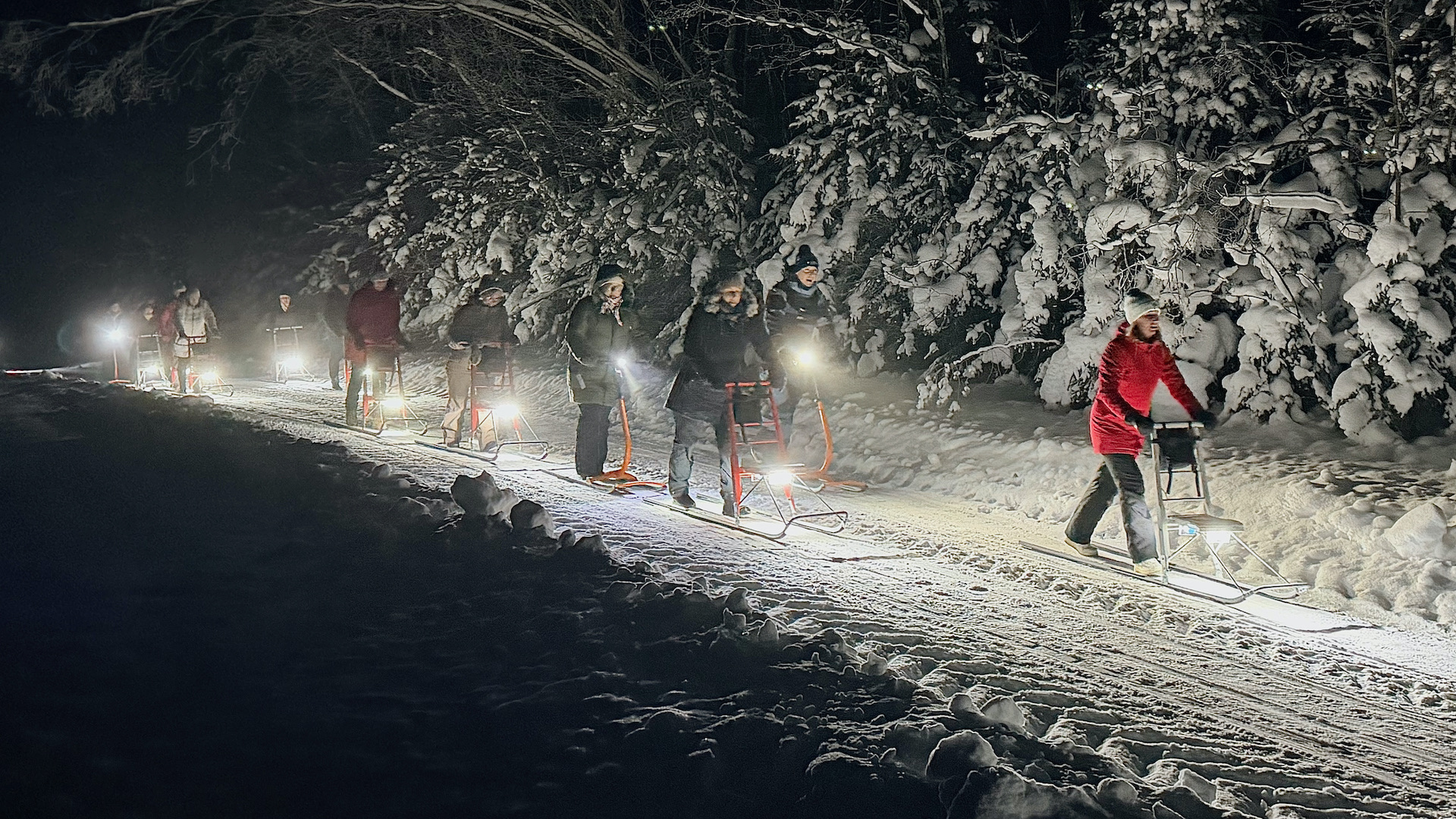 Lichtschlittenfahrt in Kõrvemaa