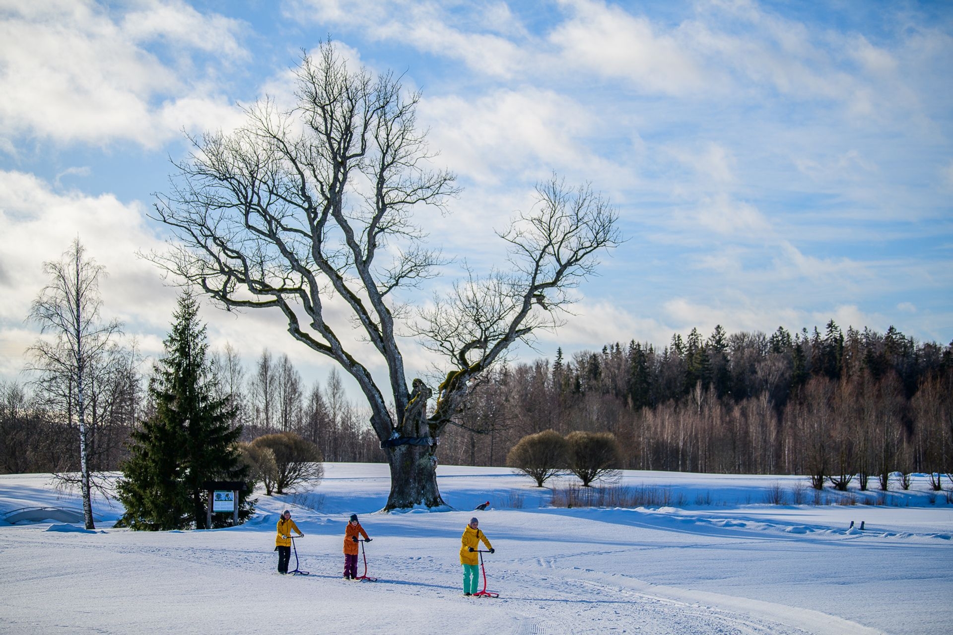 Pühajärve Sõjatamm talvel