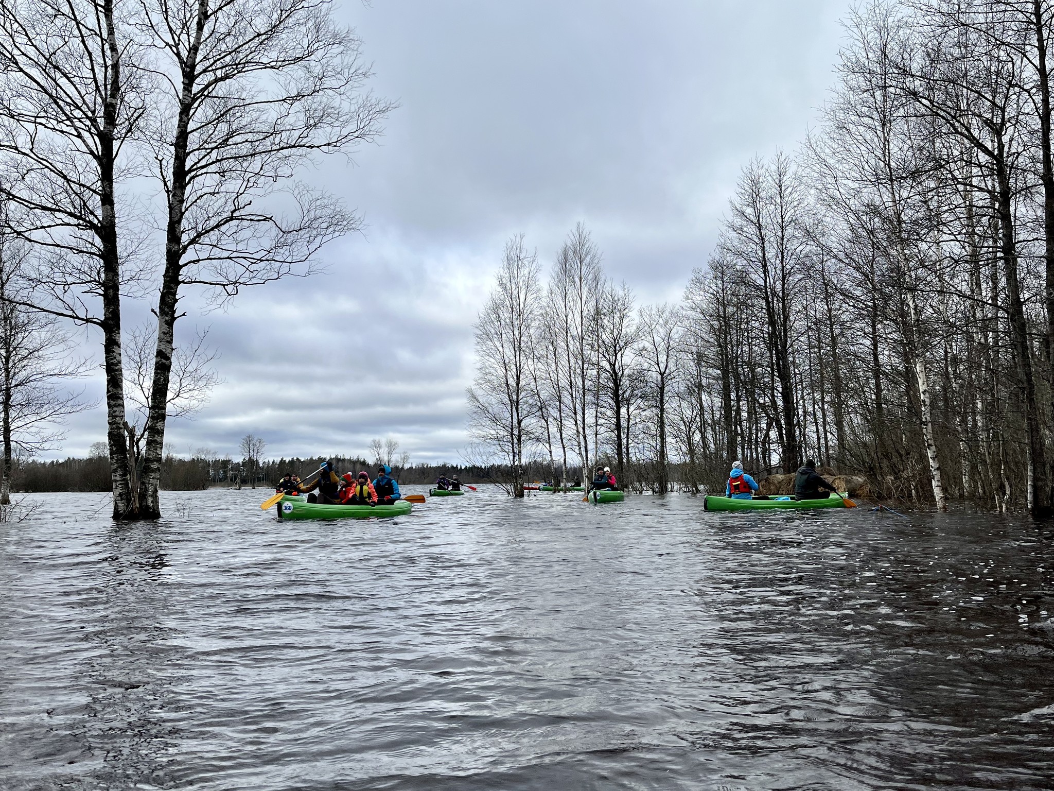 The fifth season in Soomaa National Park is legendary and unique precisely because it directly affects everyday life. It is the spring flood, when mel