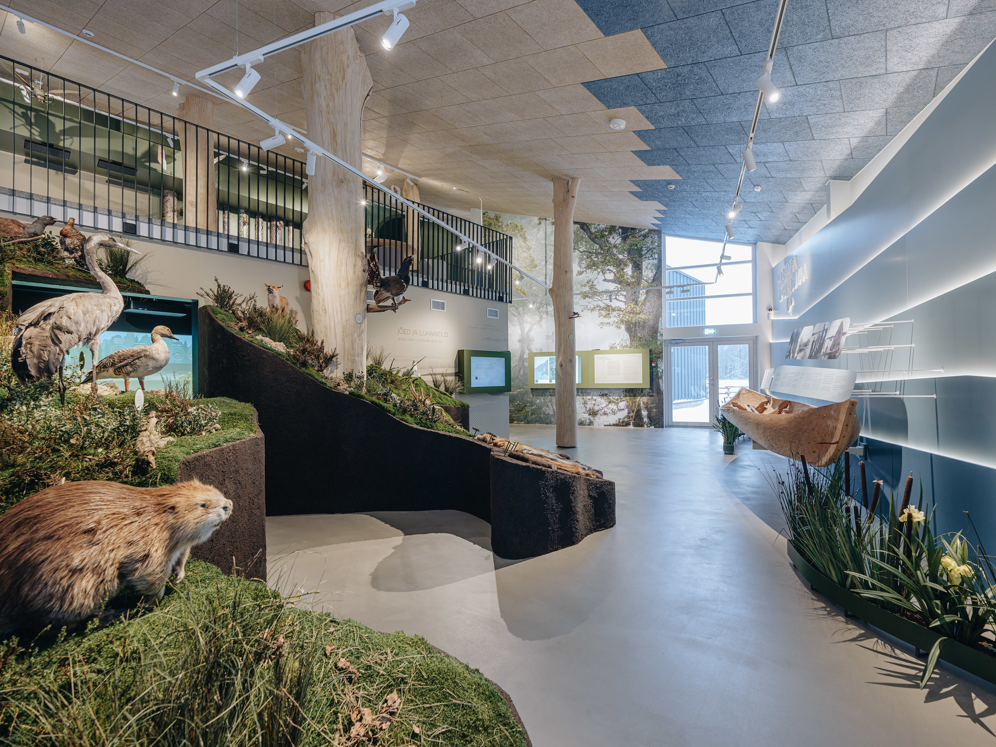 Soomaa rahvuspargi külastuskeskuse sisevaade