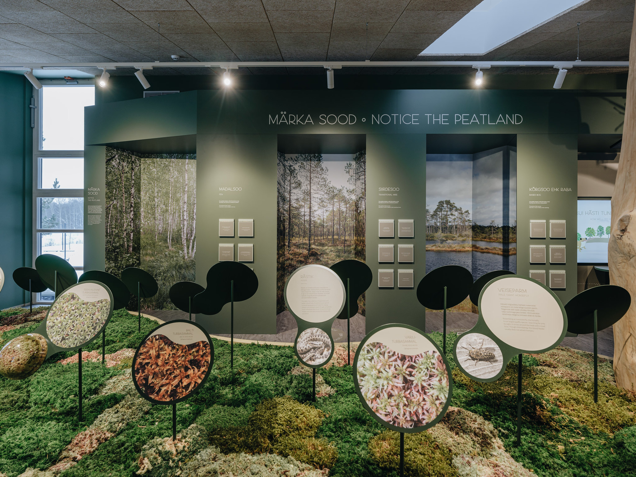 Tutvu Soomaa piirkonnaga Soomaa külastuskeskuses