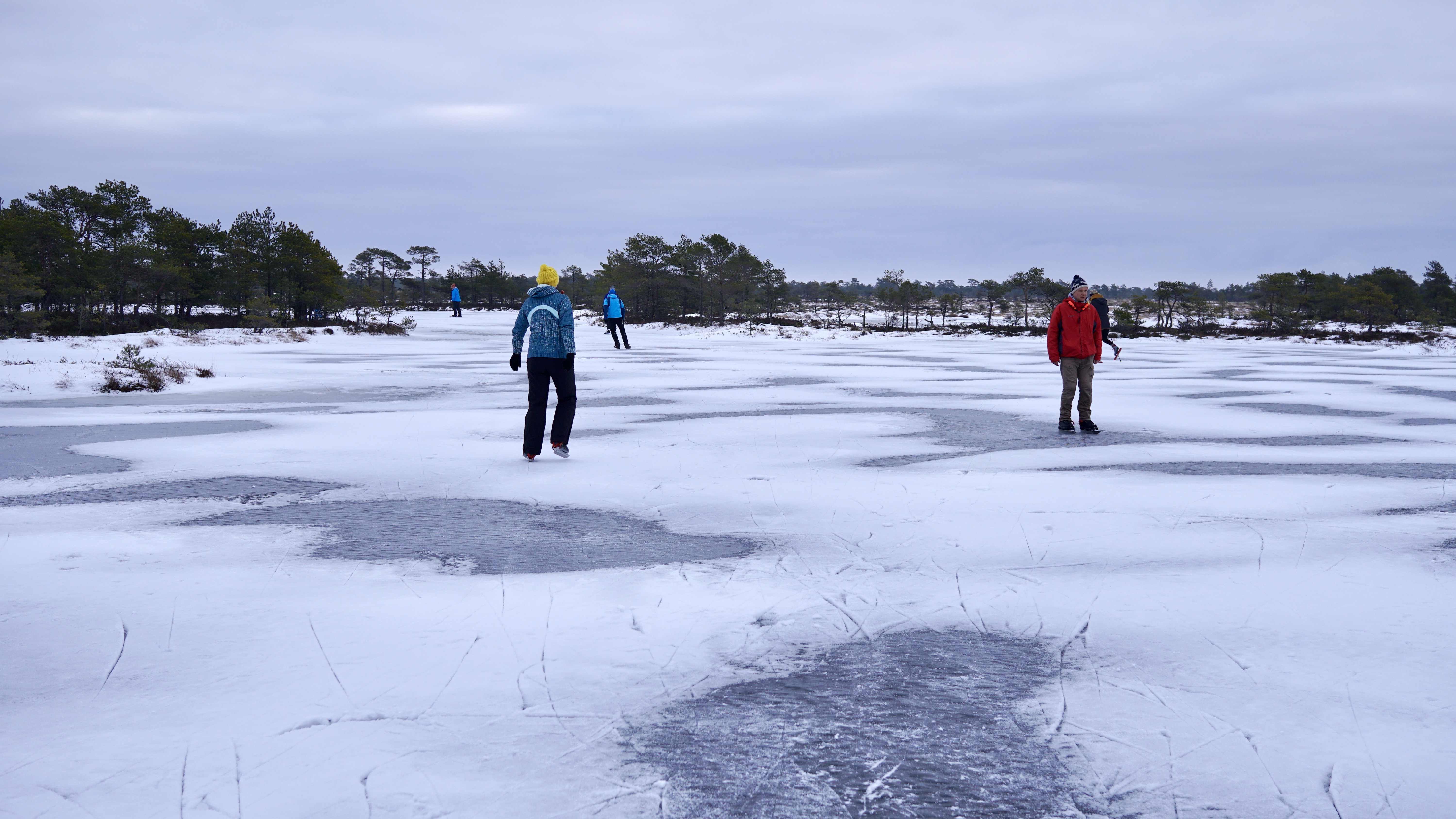 Schlittschuhwanderung auf einem Moortümpel