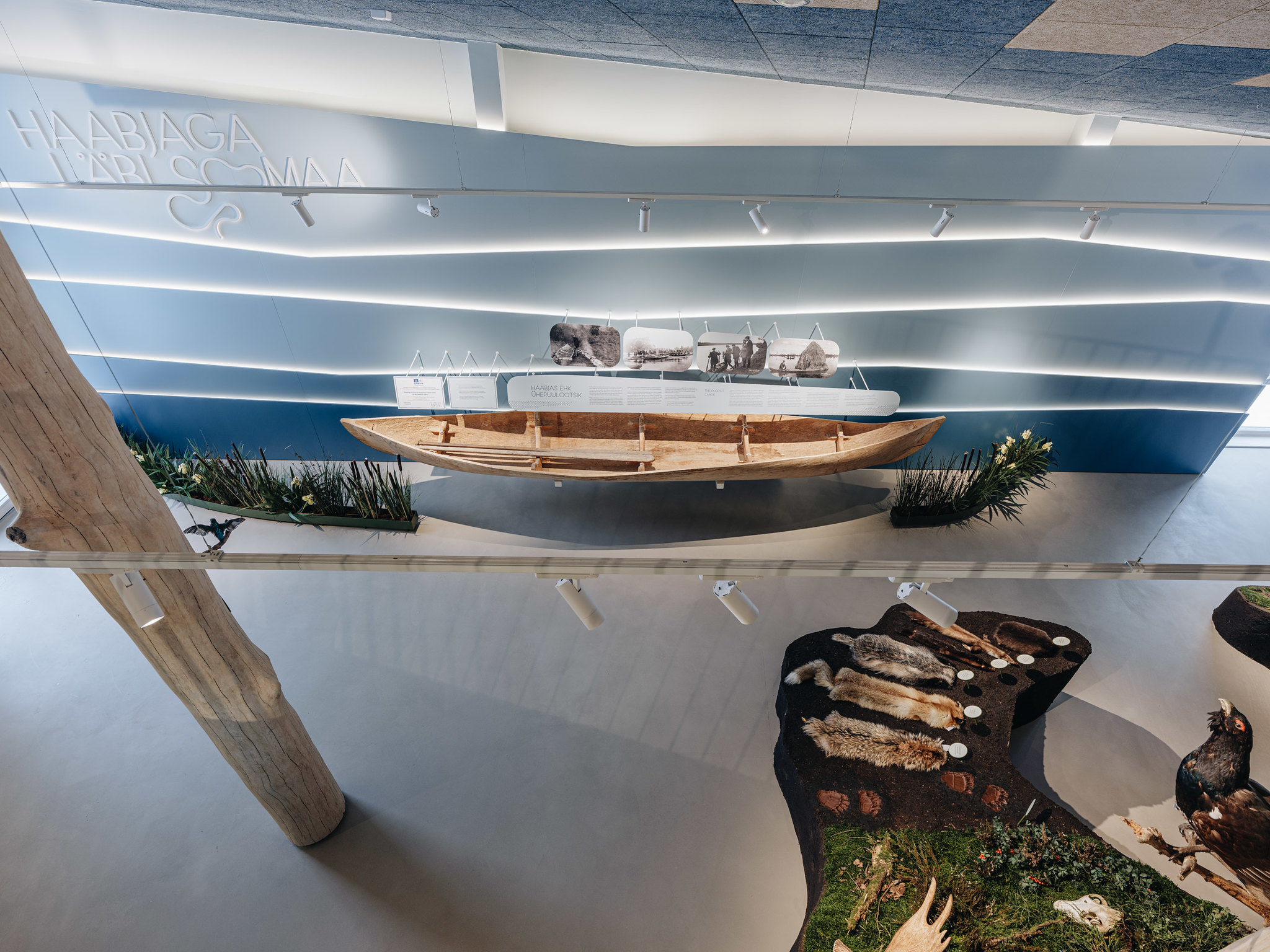 Ühepuulootsik ehk haabjas on kantud UNESCO kultuuripärandi nimistusse