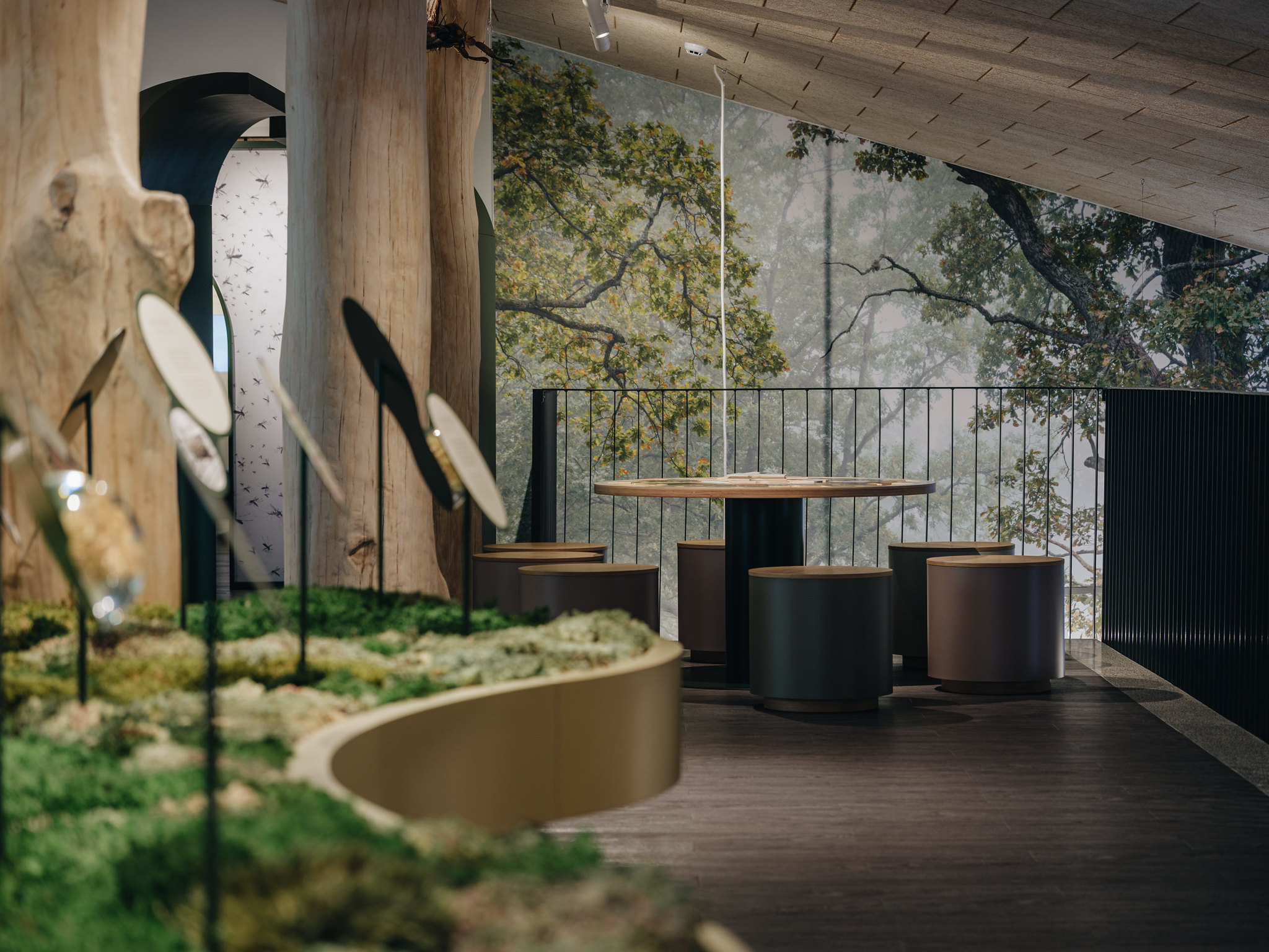 Hubane Soomaa külastuskeskuses