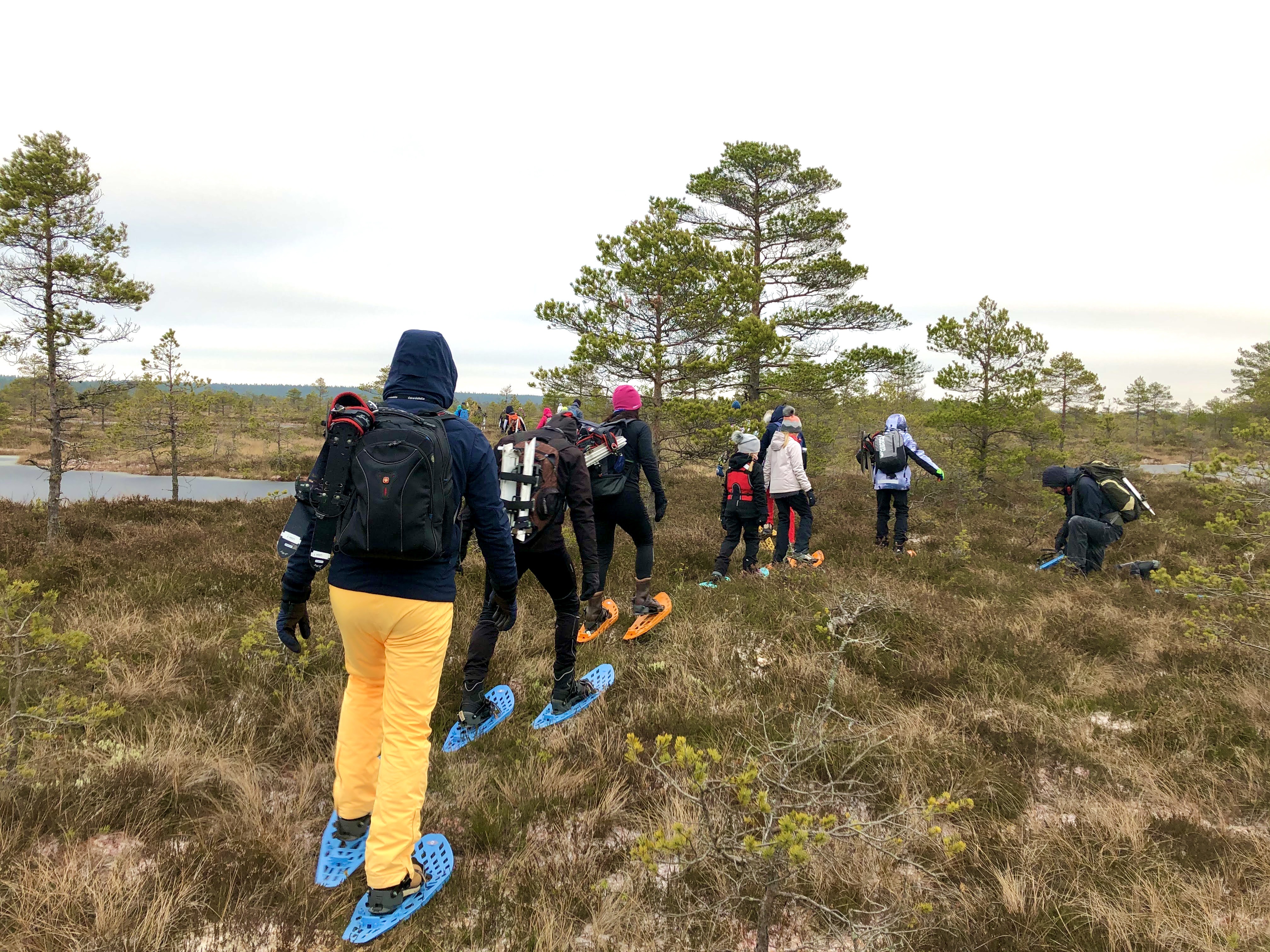 Räätsamatk Marimetsa rabas