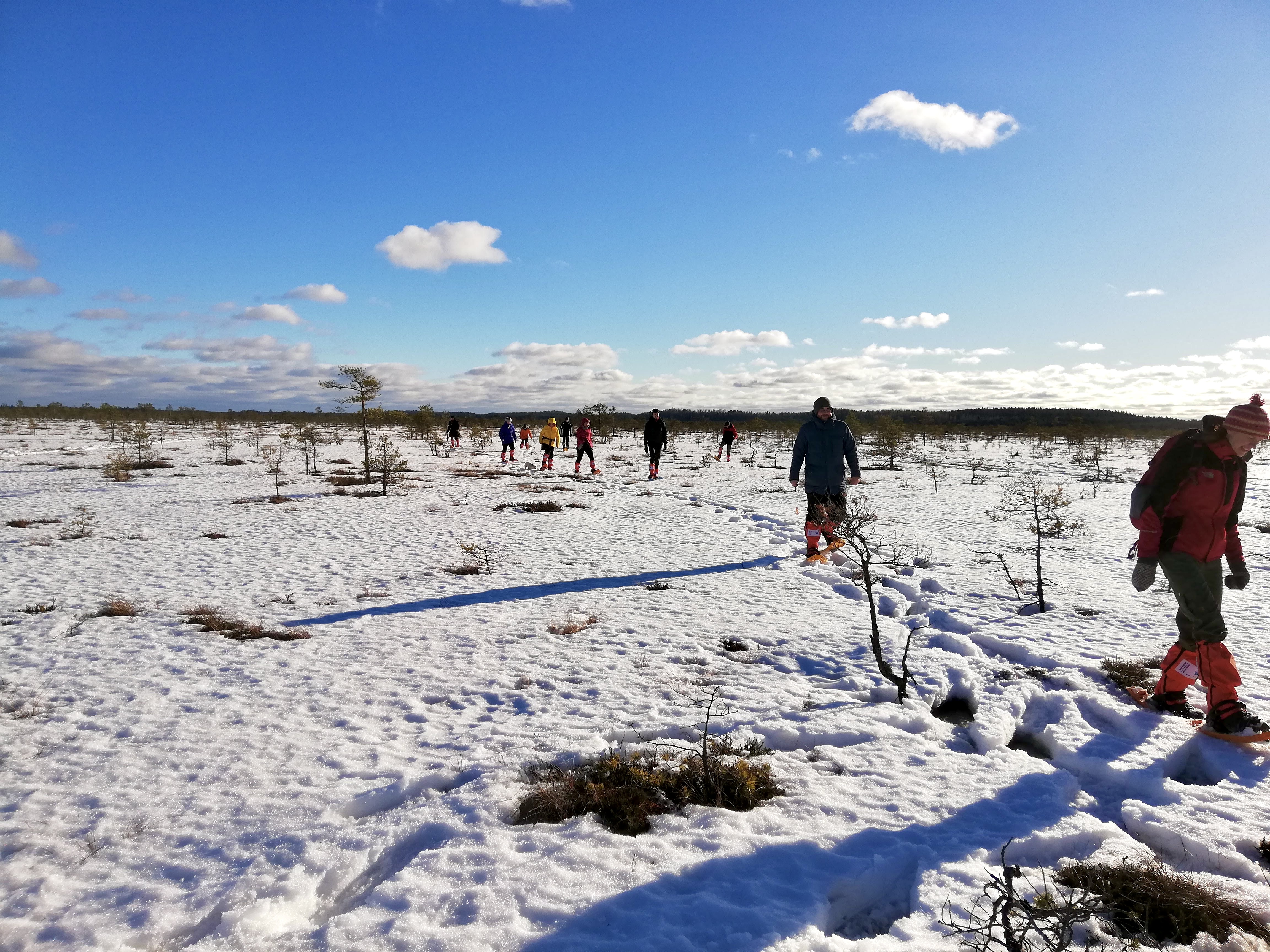 Räätsamatk Marimetsa rabas